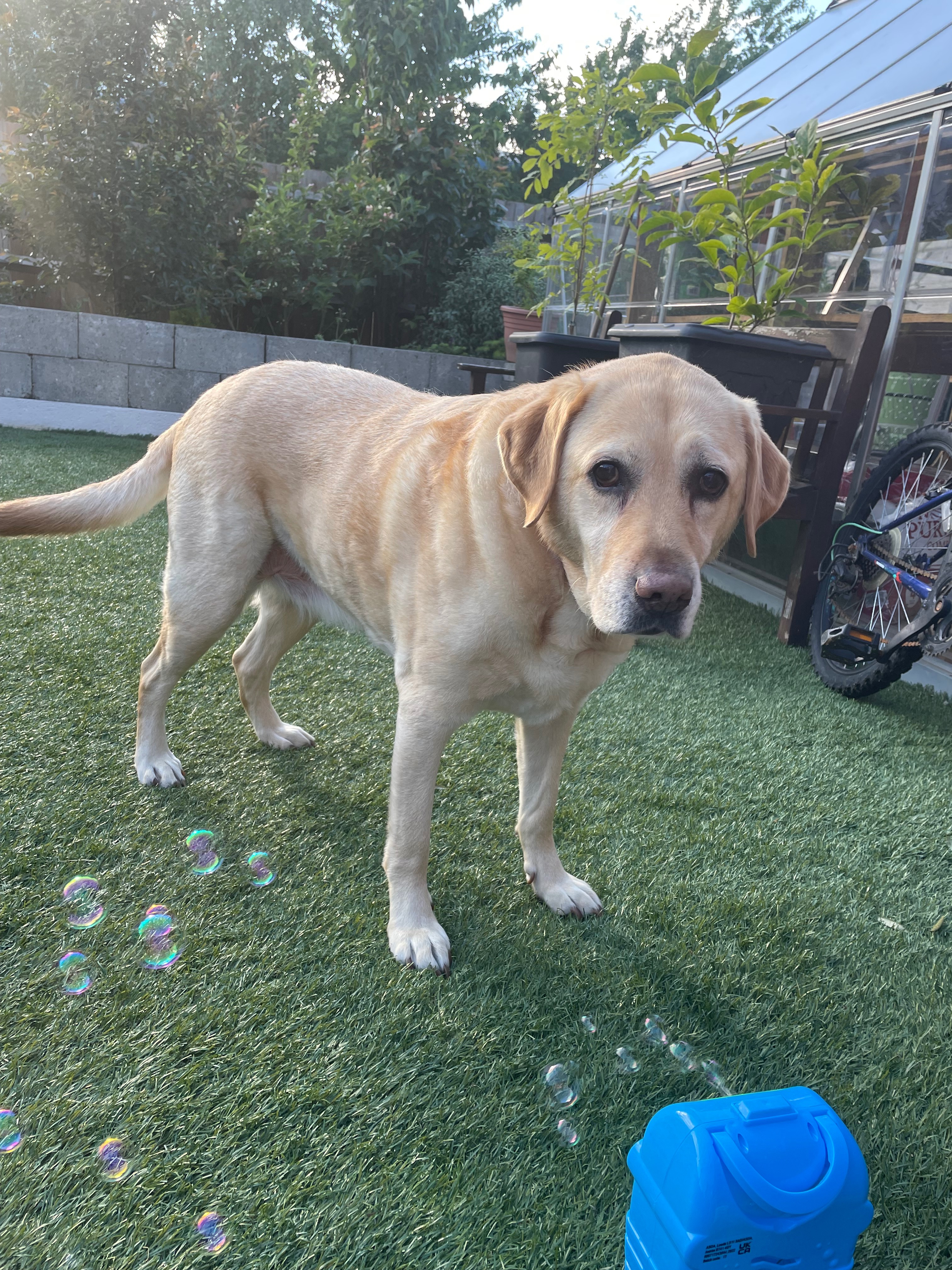 Help max get best care campaign photo, 5 of 8