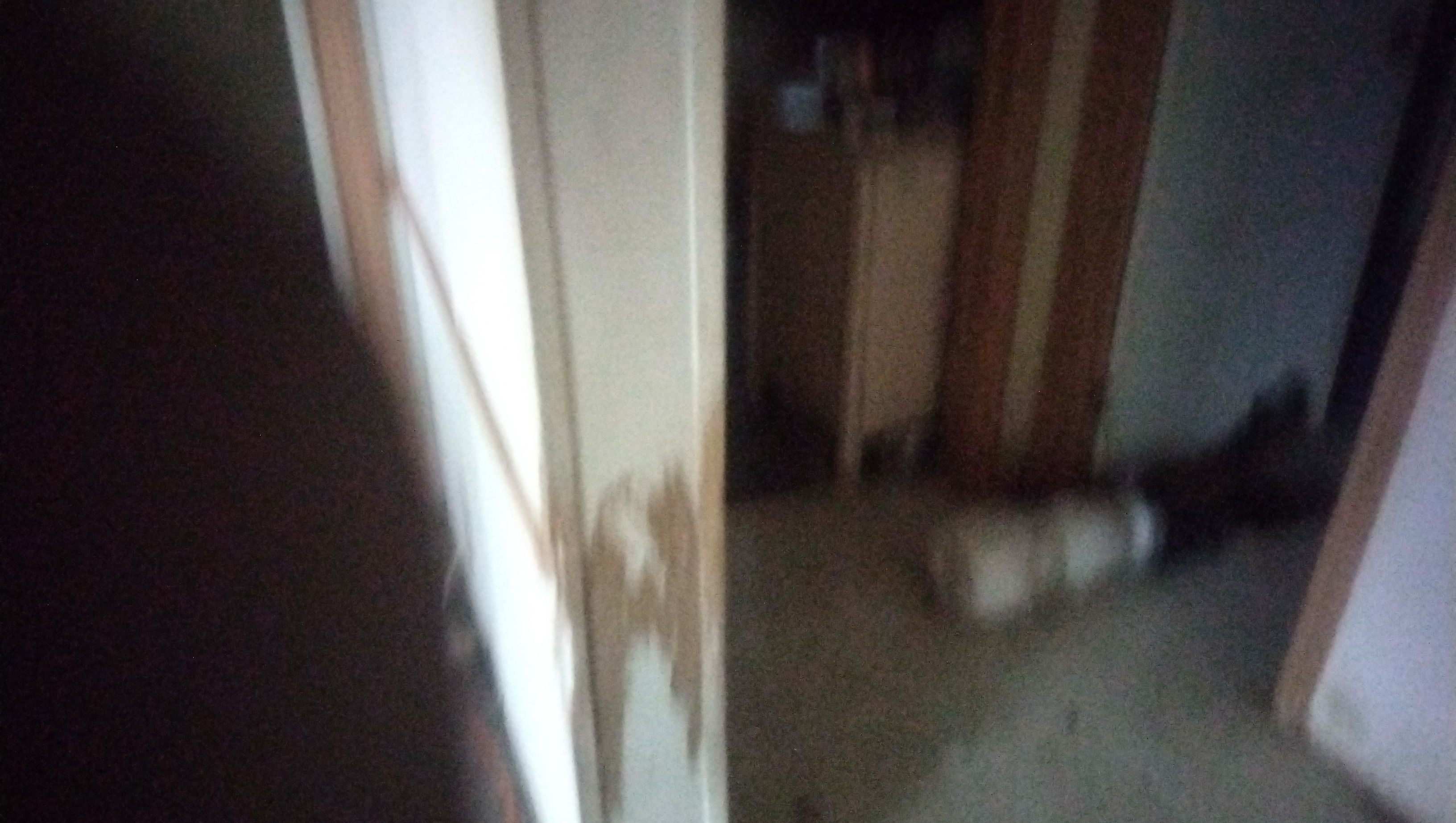 Bringing Our Family Back Home After the Storm photo