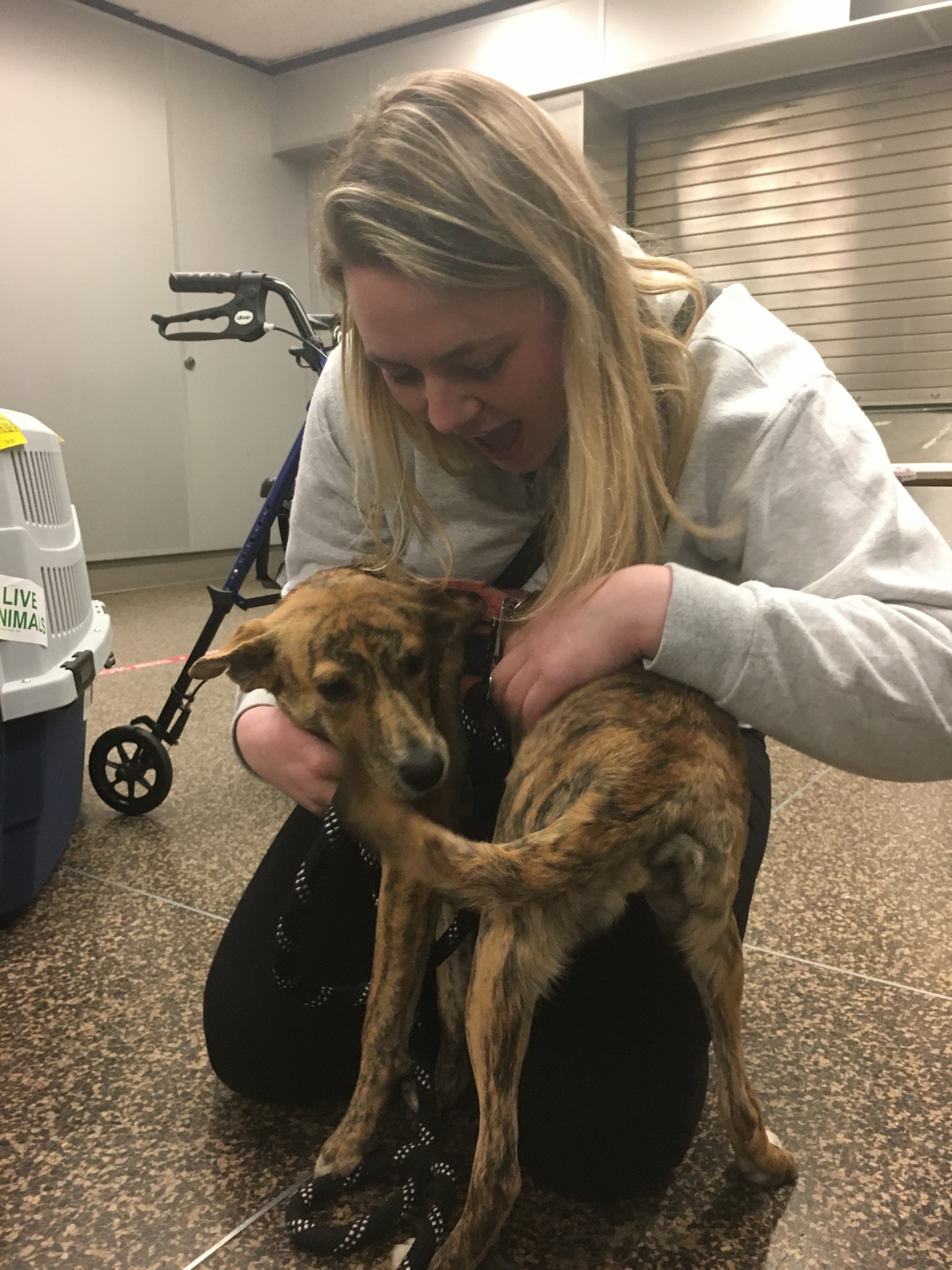 Help Lindsey and Charlie— Surgery for a Beloved Best Girl campaign photo, 4 of 8
