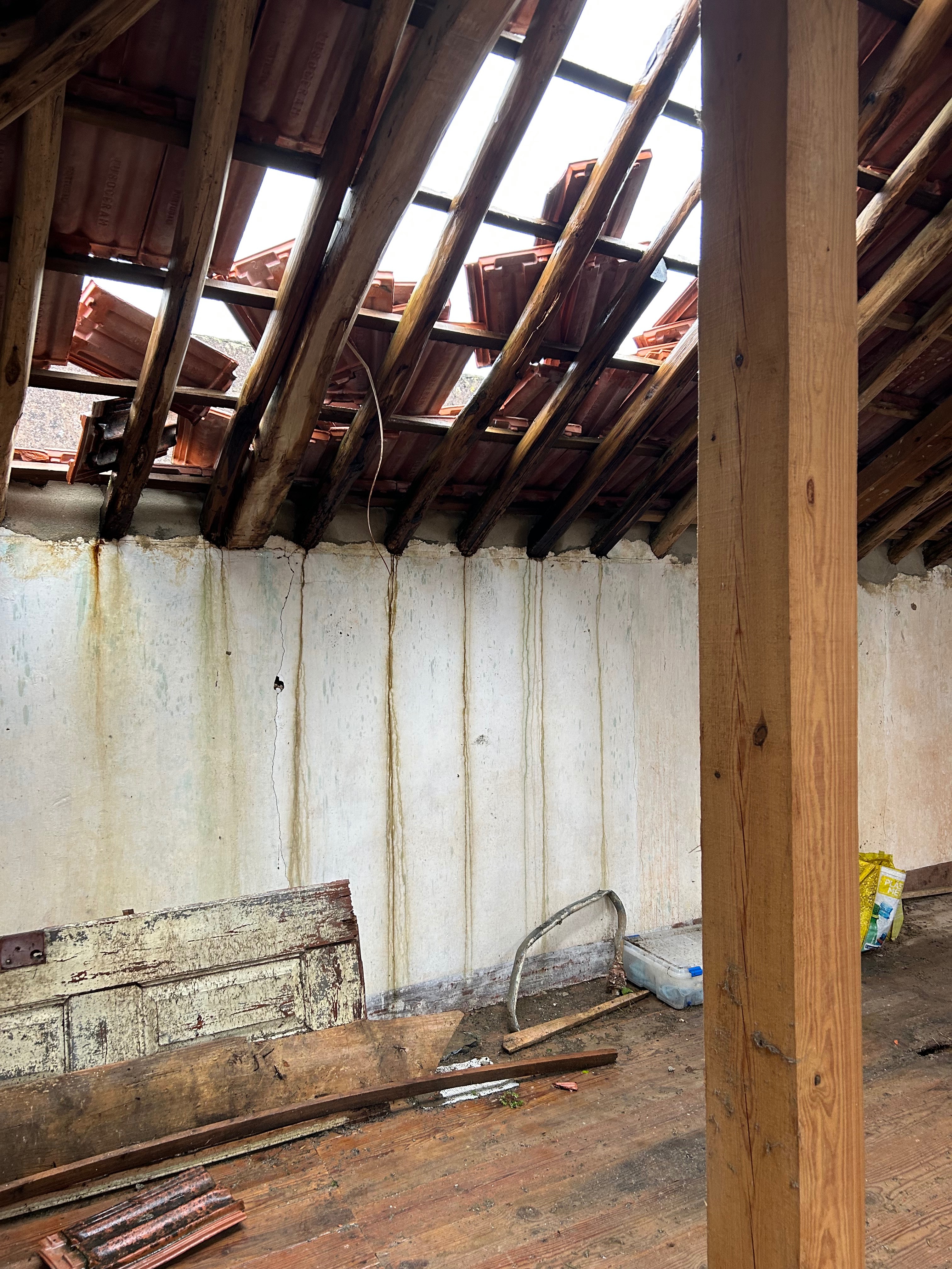 Help us bring our 1904 home back to life campaign photo, 7 of 8