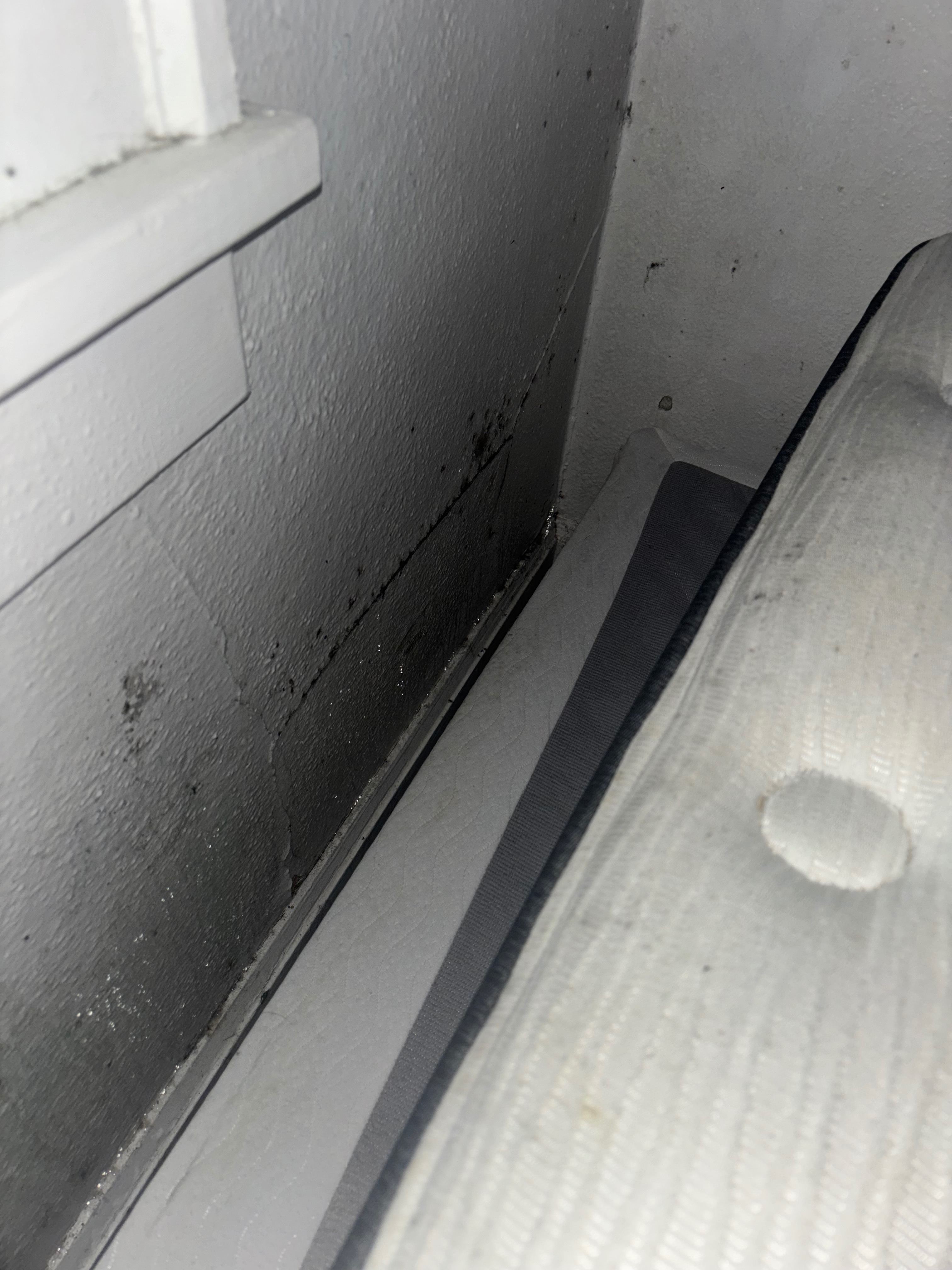 Help Replace My Moldy Bed campaign photo, 6 of 7