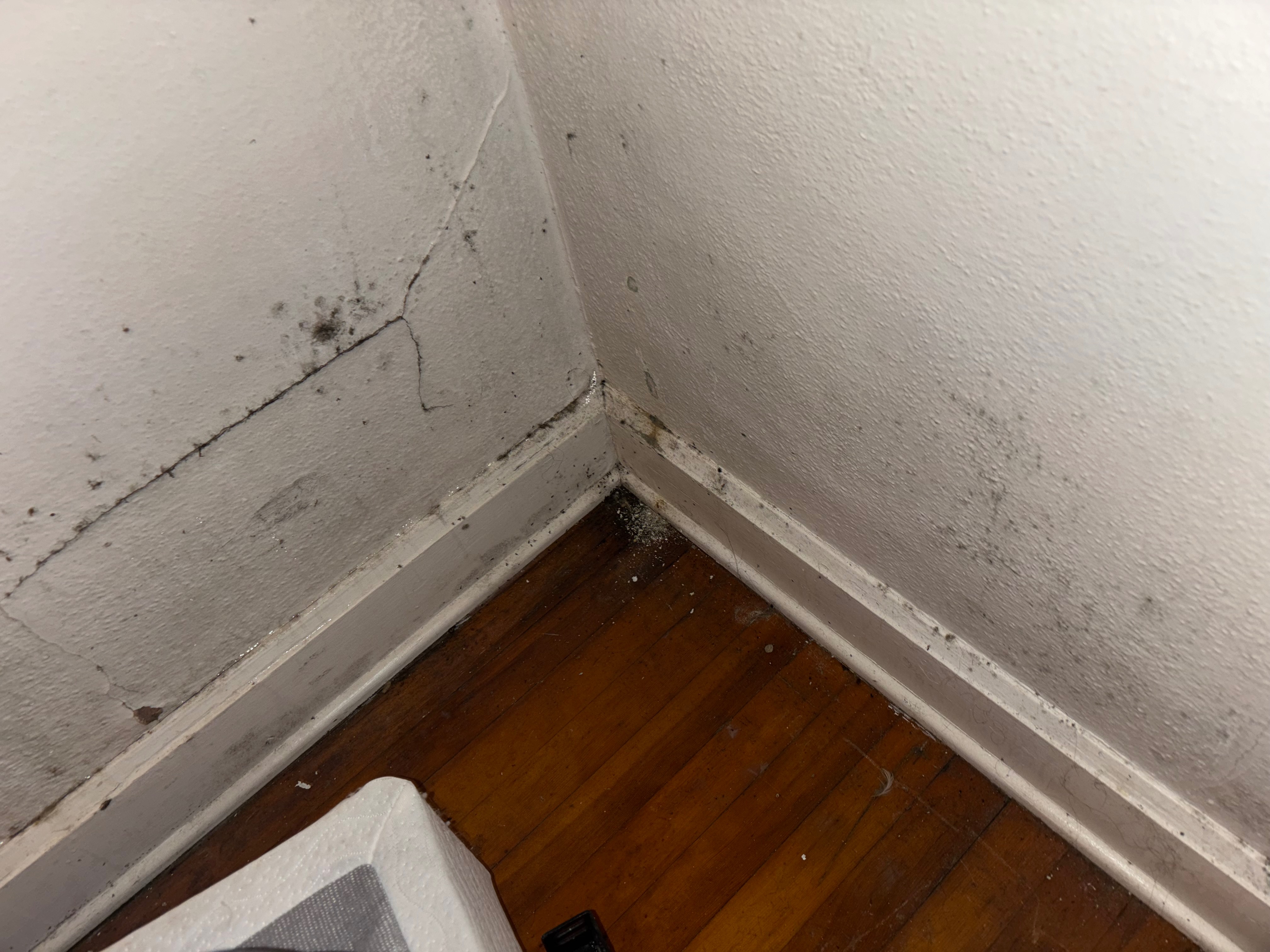 Help Replace My Moldy Bed campaign photo, 2 of 7