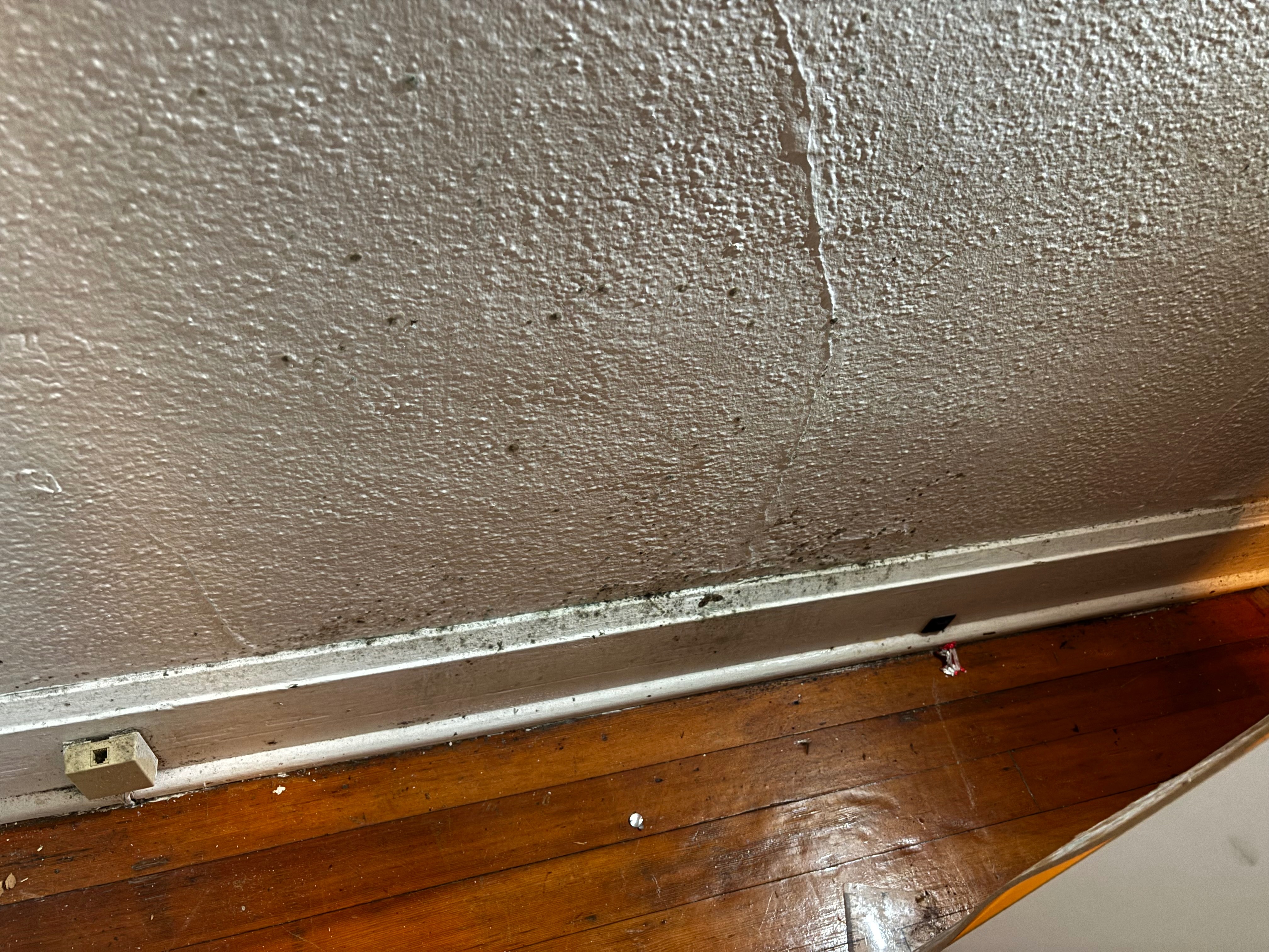 Help Replace My Moldy Bed campaign photo, 4 of 7