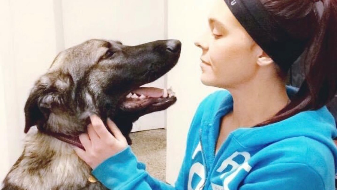 Help My Dog Diva Get Urgent Supportive care ❤️‍ photo