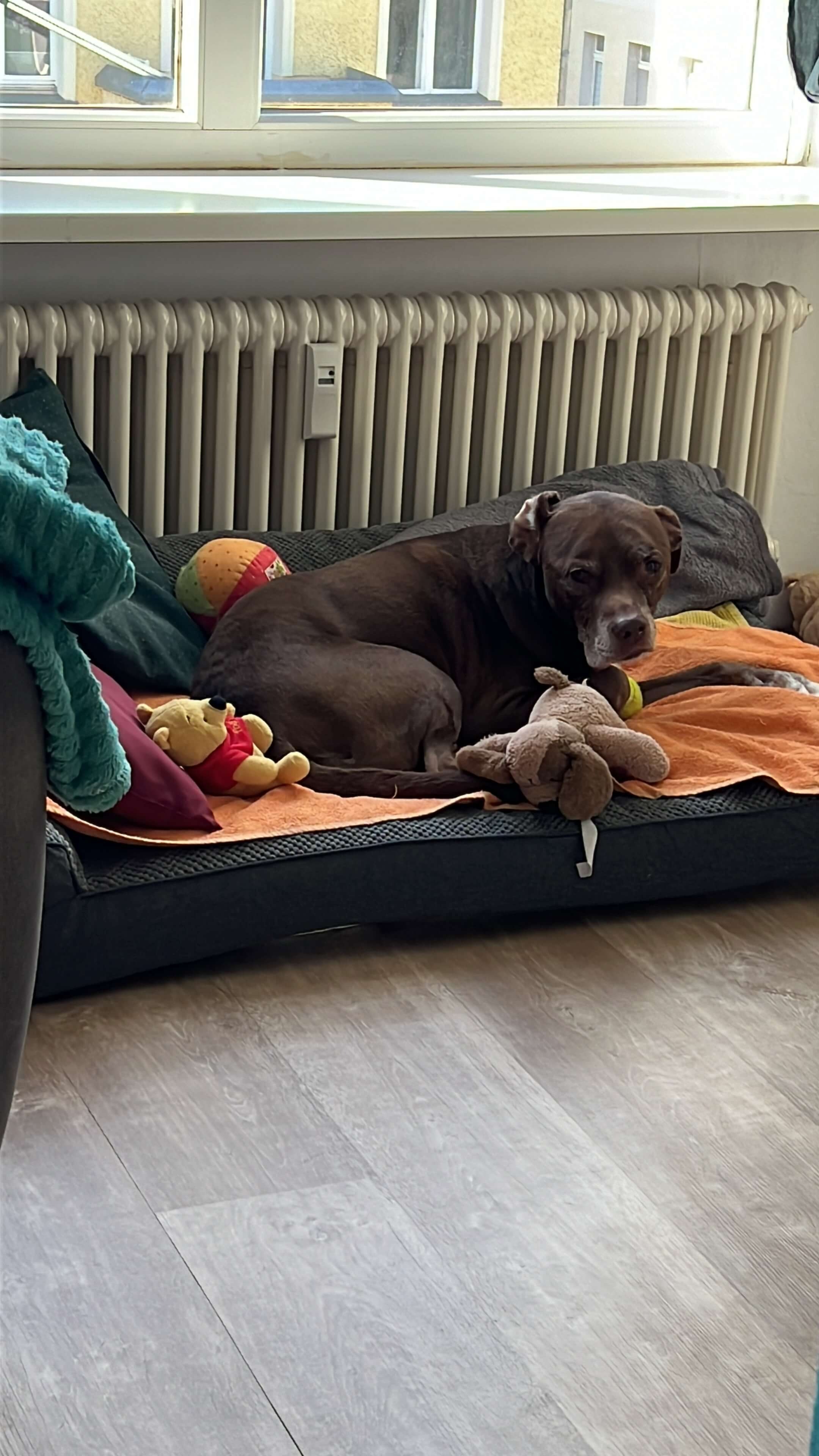 14-jährige Vanda braucht deine Hilfe für ein schmerzfrei campaign photo, 2 of 8