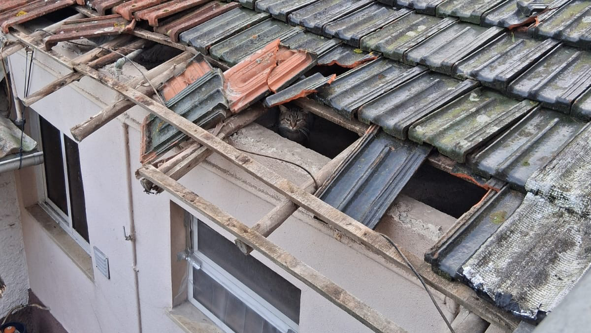 Reconstruir em Leiria casa tempestade Kristin photo