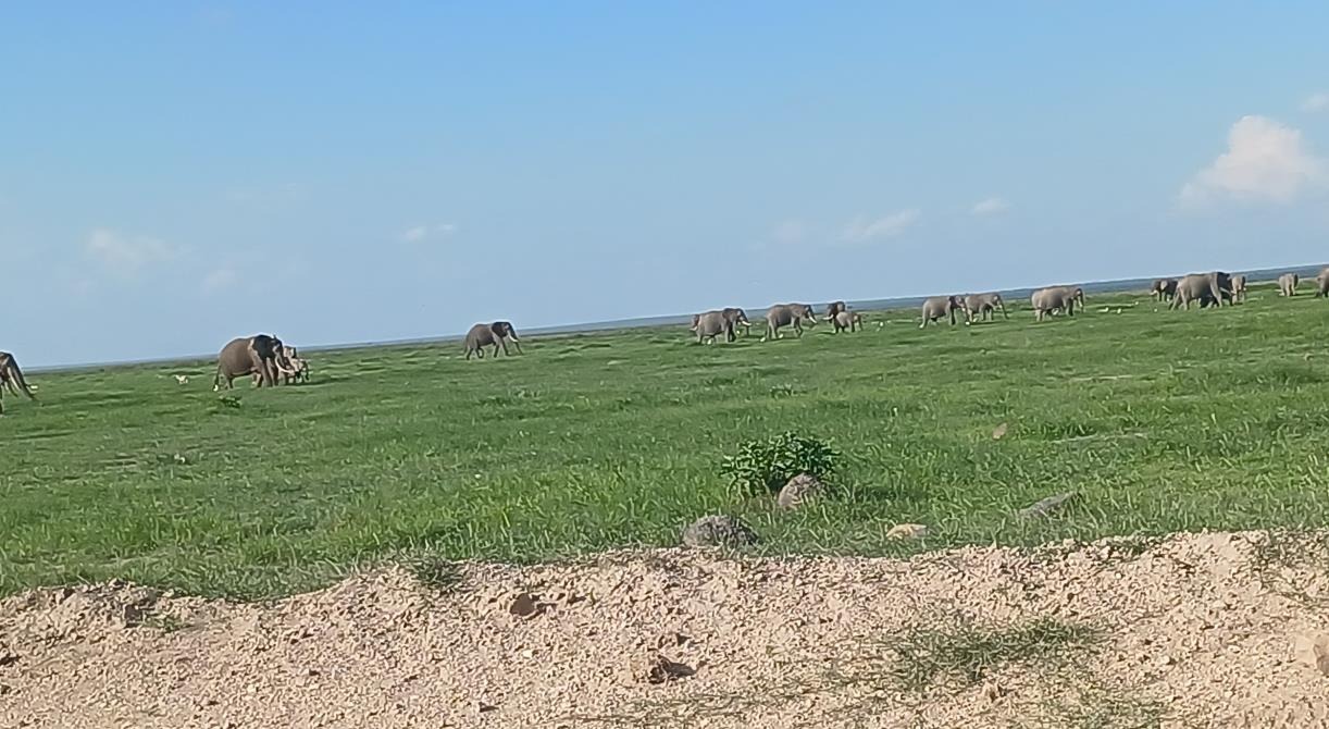 Kampagnen-Foto für Llevar agua a las aldeas Maasai de Amboseli (Kenia), 2 von 5