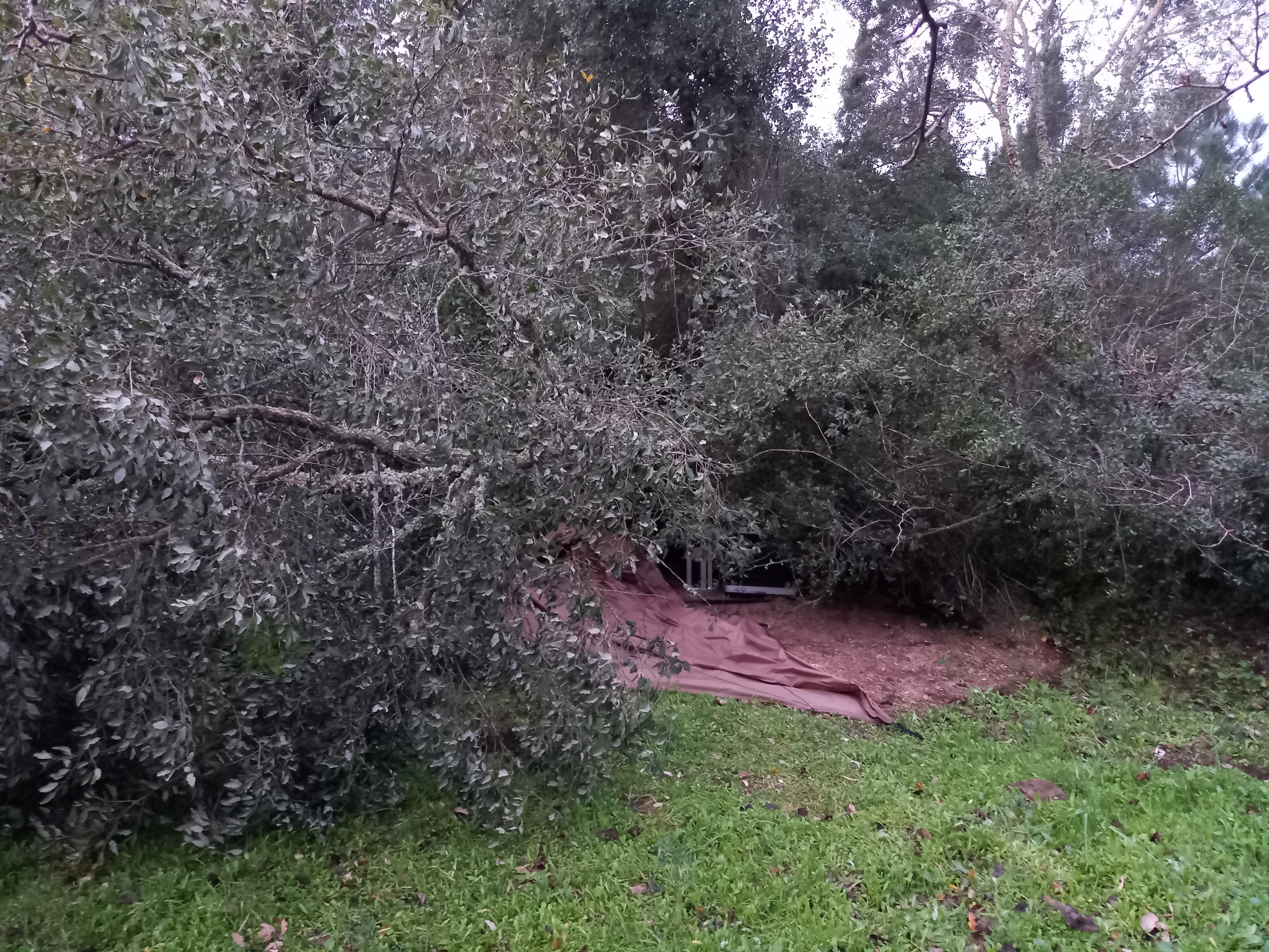 Fundraiser by Alexander Corder : Alex's Post Storm Kristin Rebuilding ...