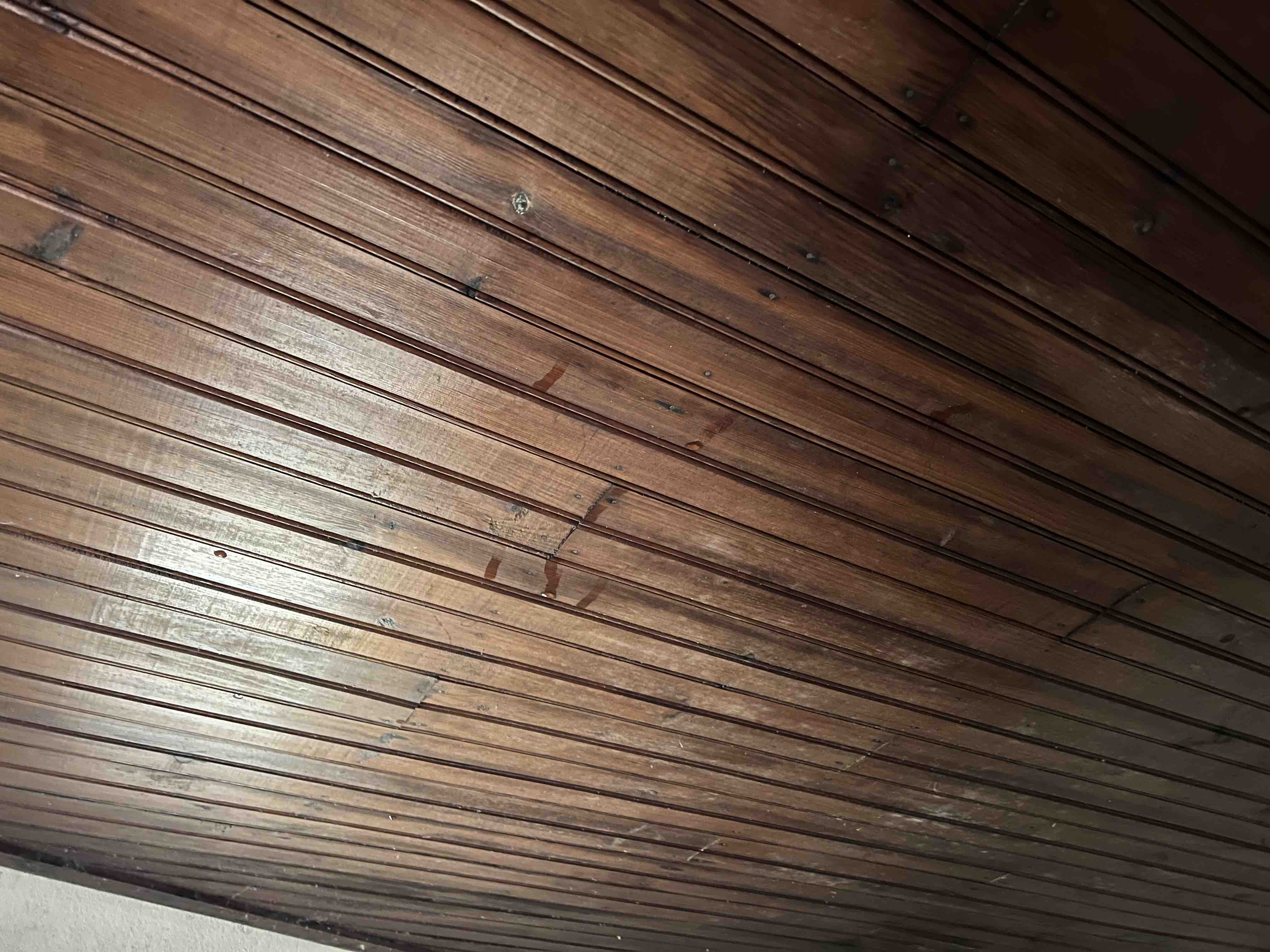 Sem telhas, a chover dentro de casa – ajuda após a Tempestad campaign photo, 4 of 8