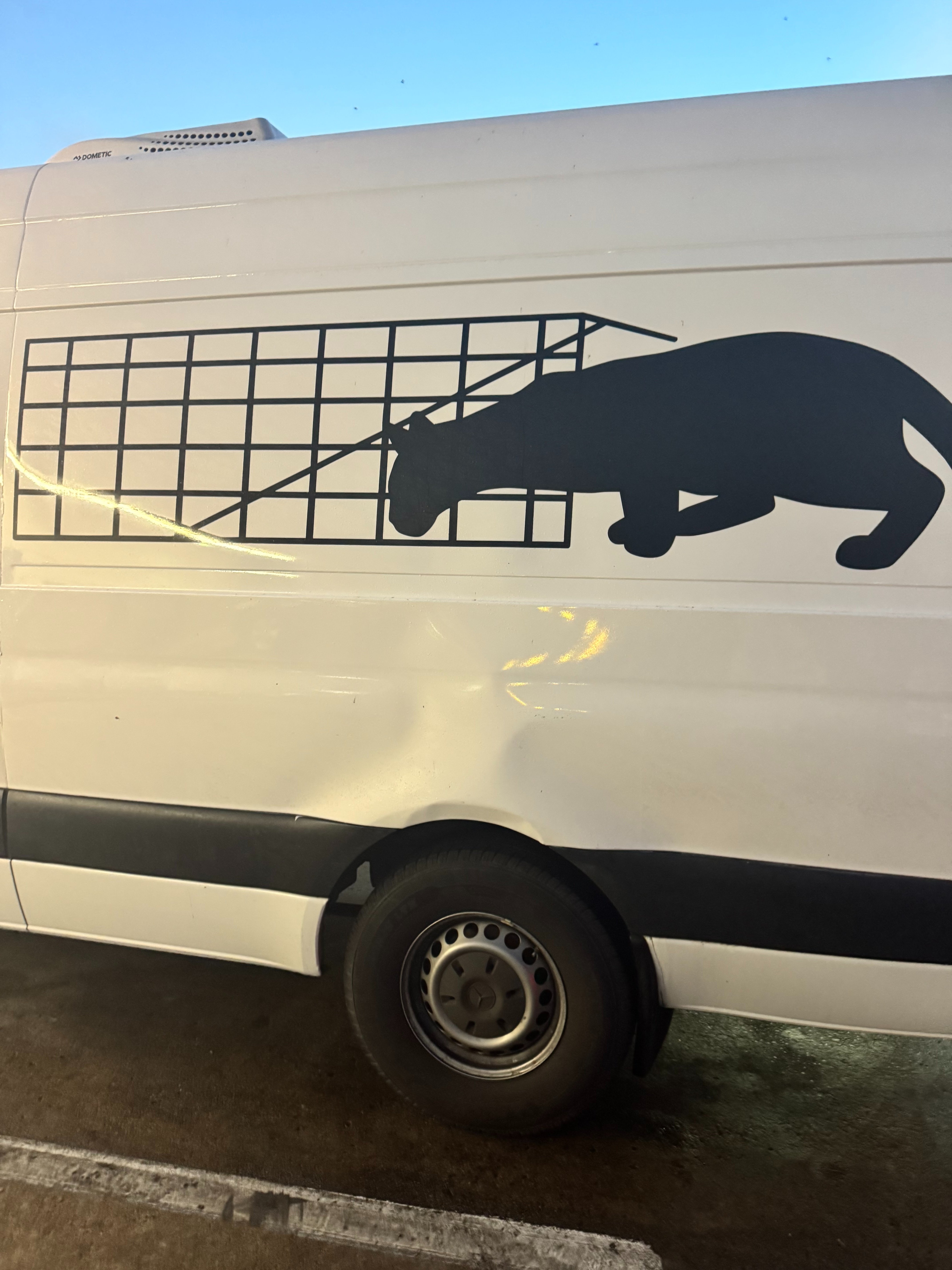 Fresno TNR Needs Community Support for Replacement Van campaign photo, 7 of 8