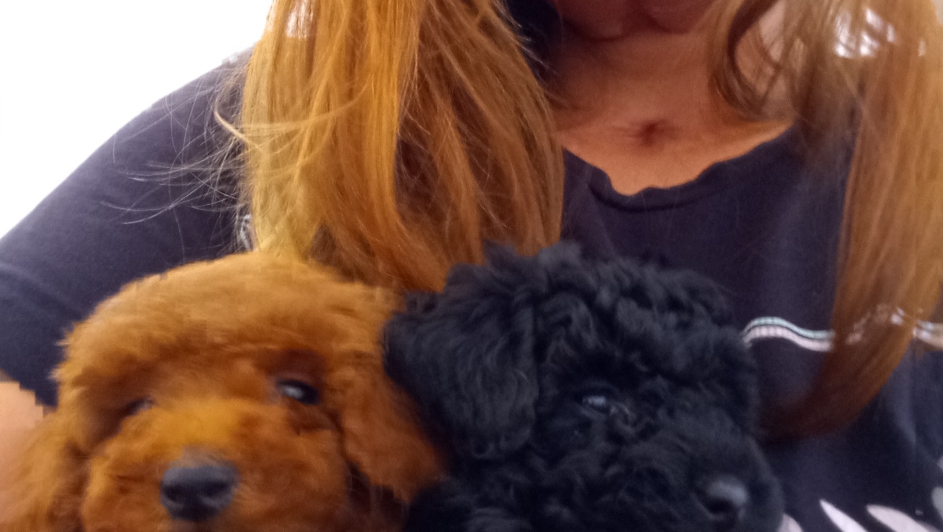 A Safe Home for Naomi and Her Furbabies photo