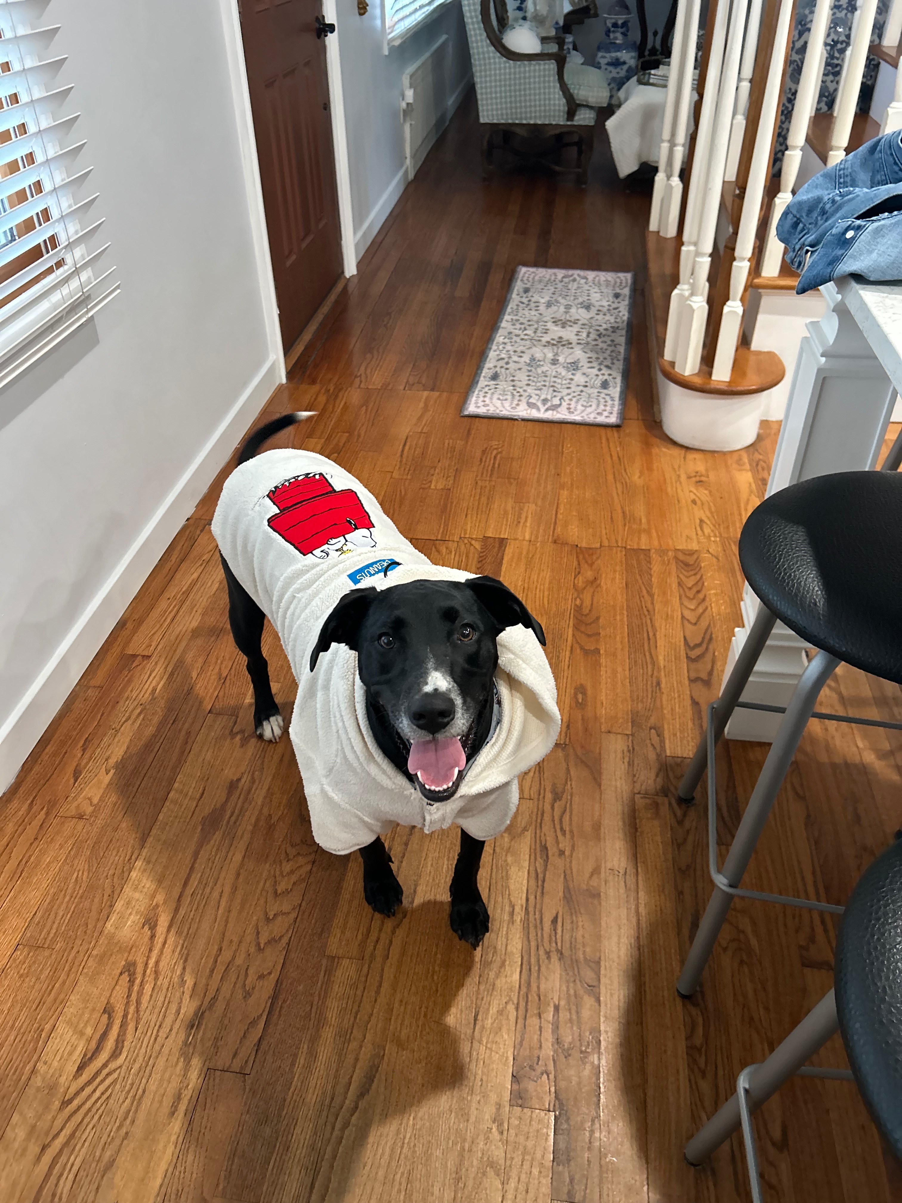 Help Luna Walk and Play Pain-Free Again campaign photo, 6 of 8