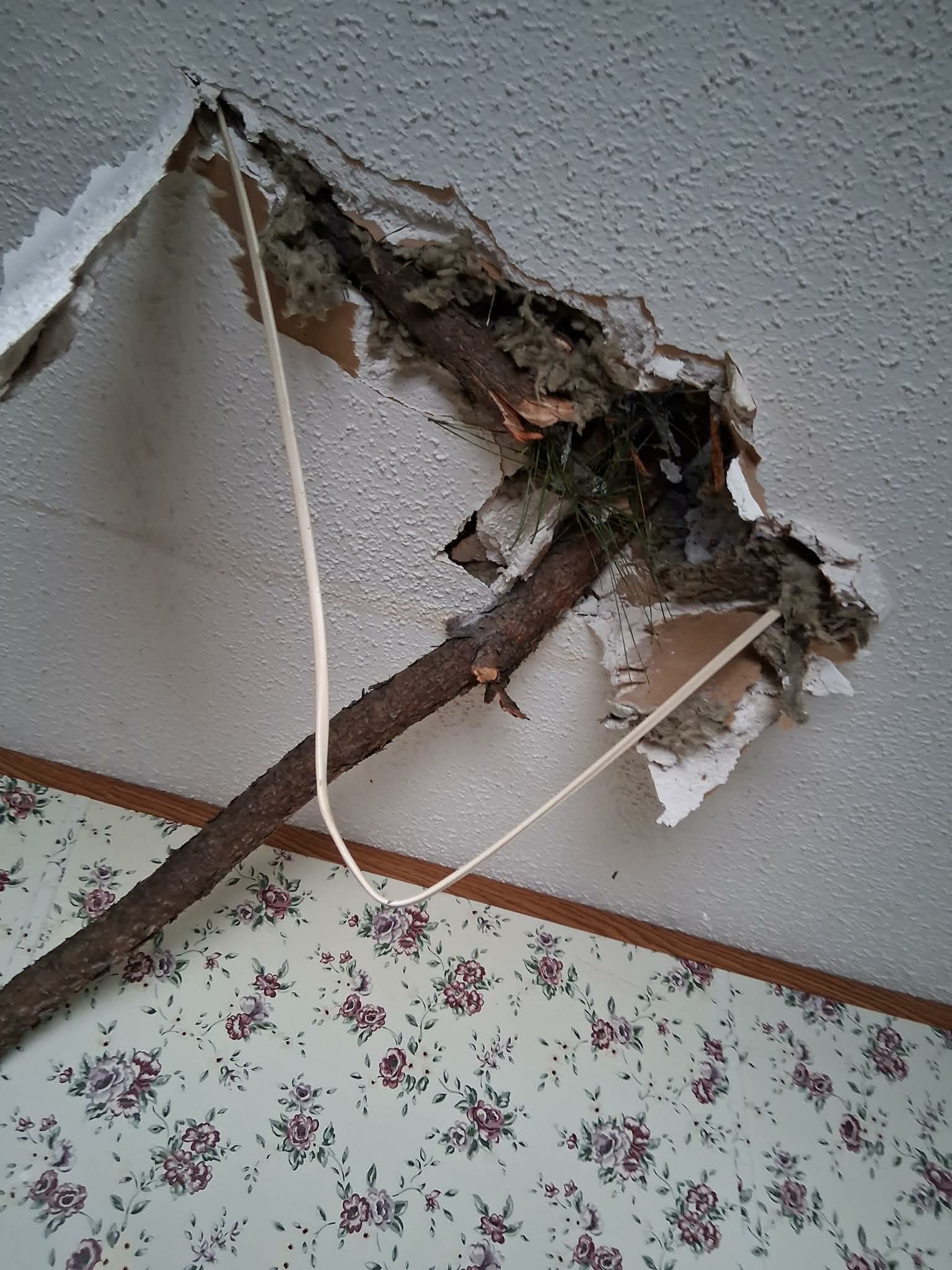 Help Zachary’s Family Rebuild After the Ice Storm campaign photo, 6 of 8