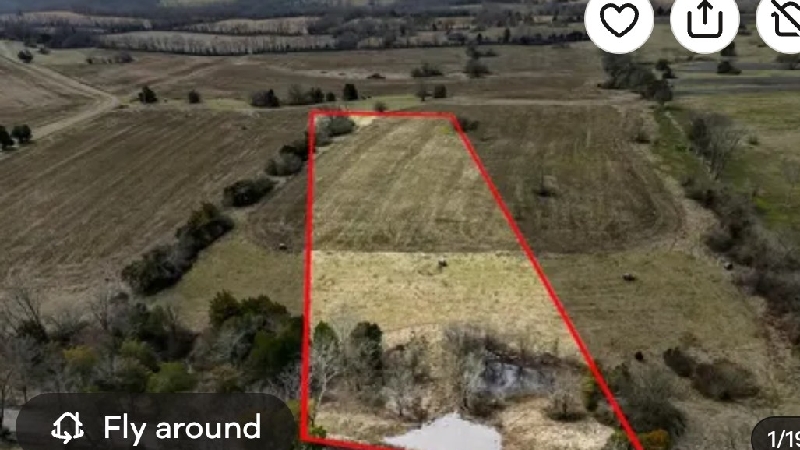 Cat Sanctuary Property Fundraiser