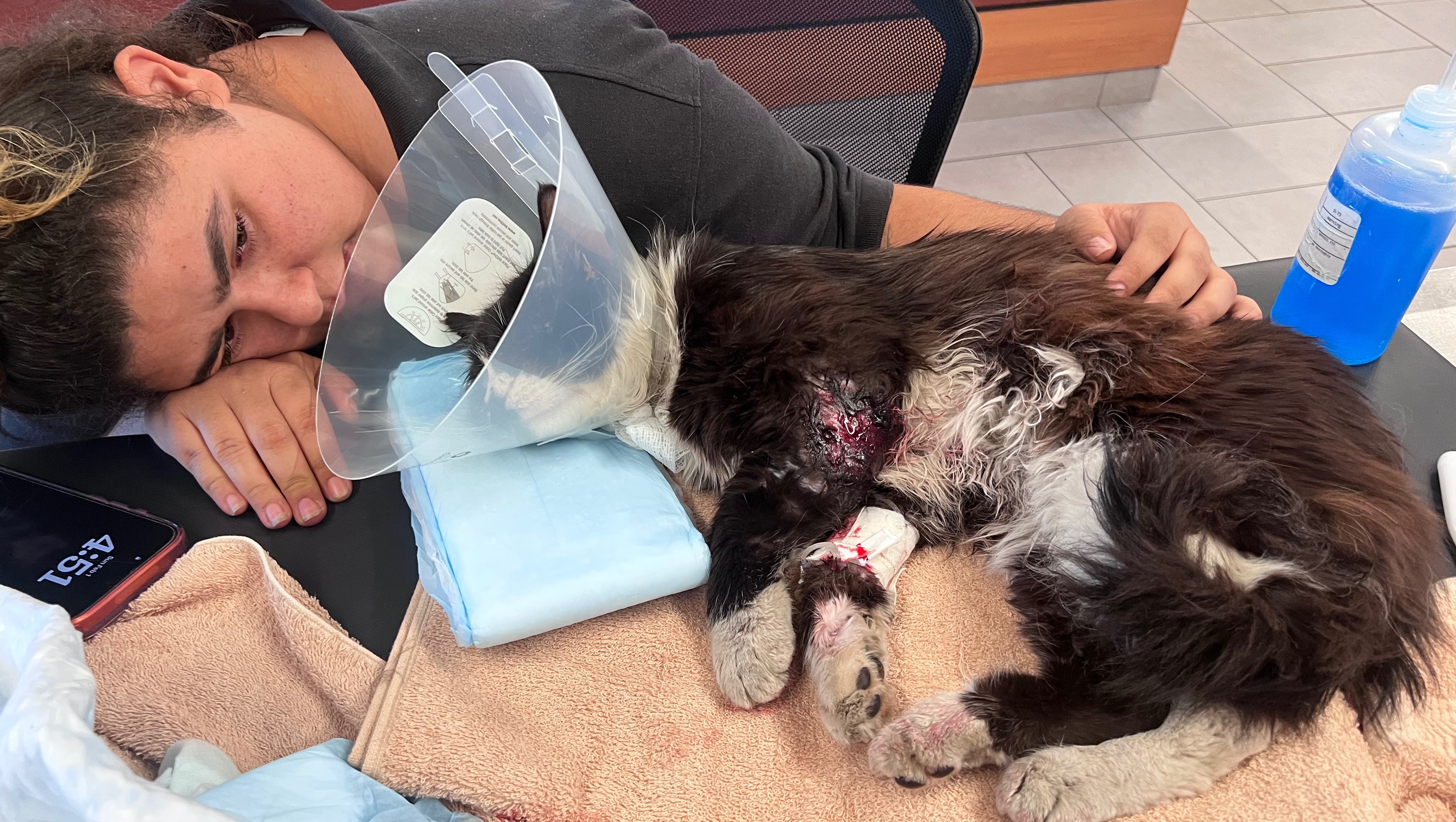 My Cat Survived 4 Years Missing, Now He Needs Urgent Medical photo