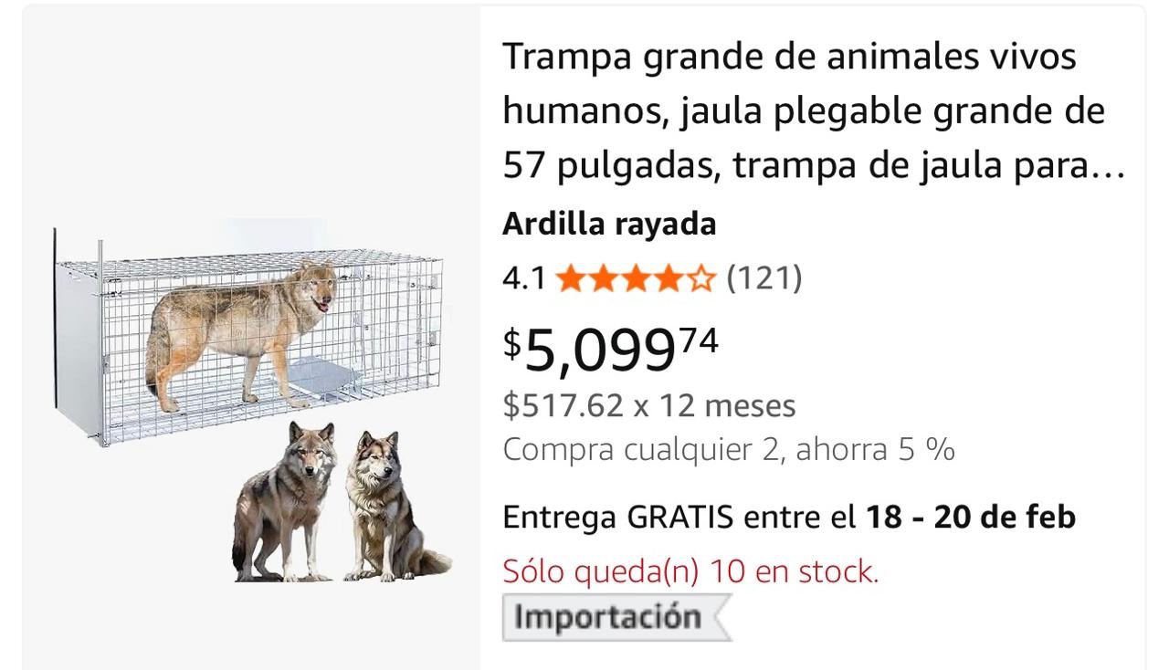 Apoya Guardianes de Tx-Support Dogs in Tequisquiapan, Qro. campaign photo, 4 of 5