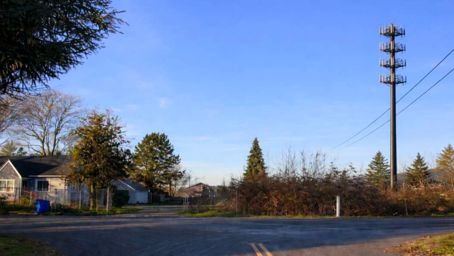 Protect Our Community: Stop the Cell Tower