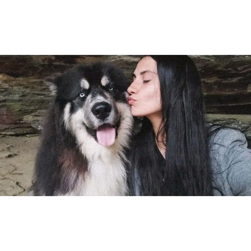 Raven Ellis  Cremation funds to honor Lakai gofundme donation