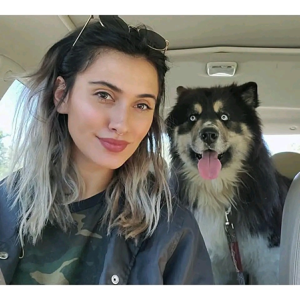 Raven Ellis  Cremation funds to honor Lakai gofundme donation