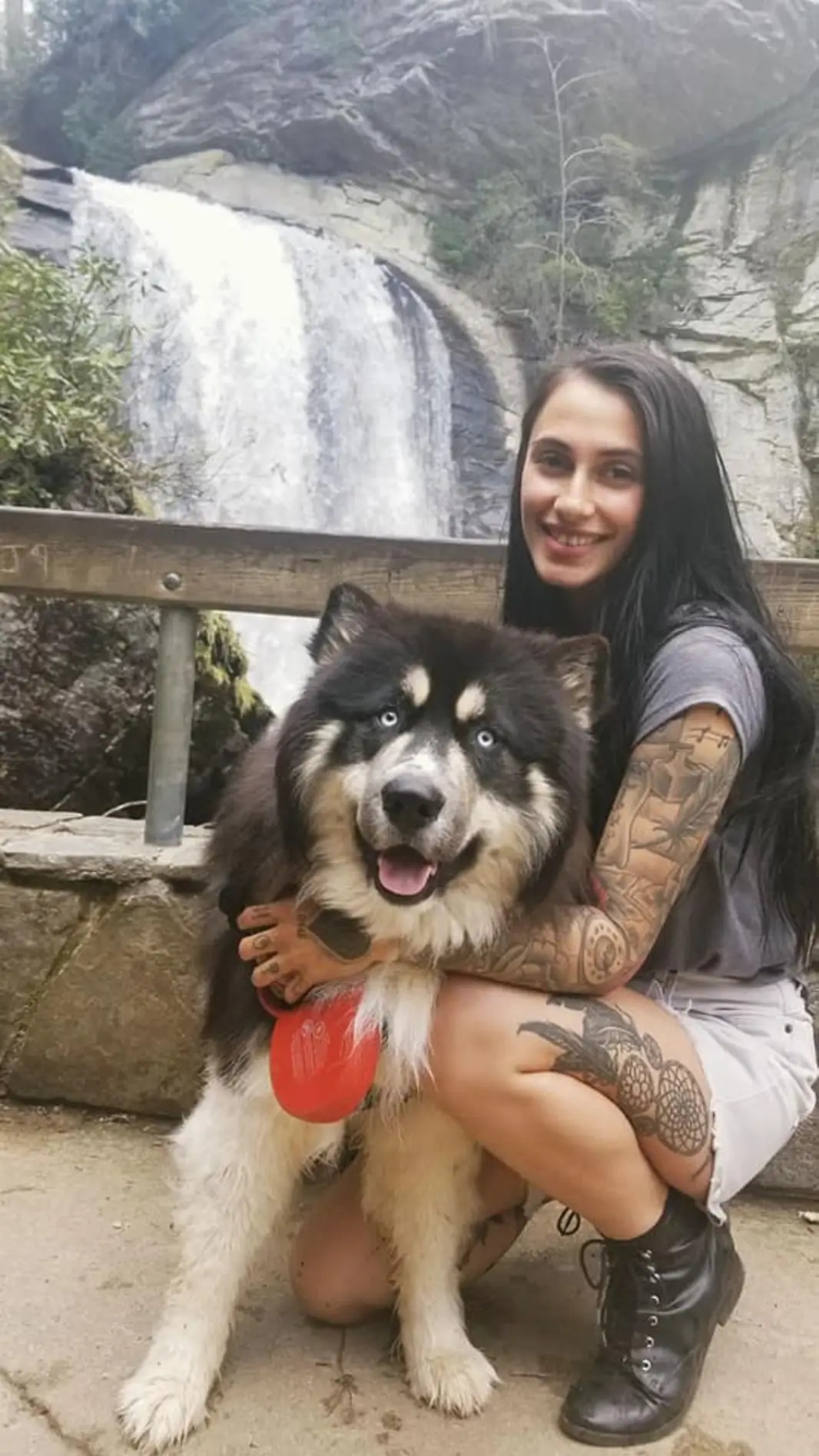 Raven Ellis  Cremation funds to honor Lakai gofundme donation