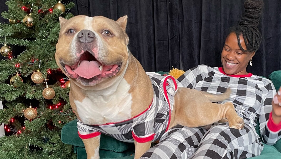 Emergency Vet Care for Prime Time photo