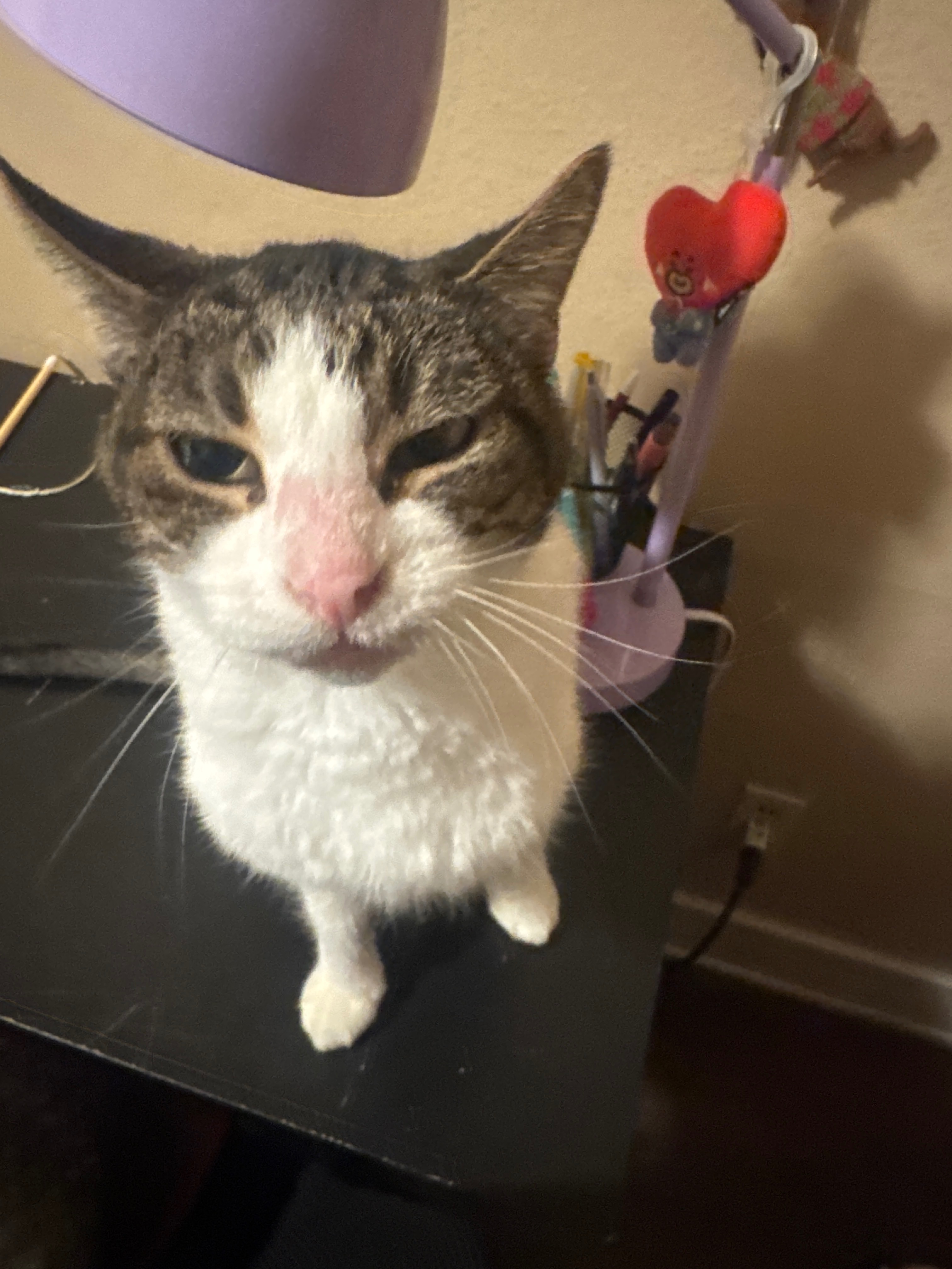 Help Bartholmew junez  get eye surgery campaign photo, 4 of 7