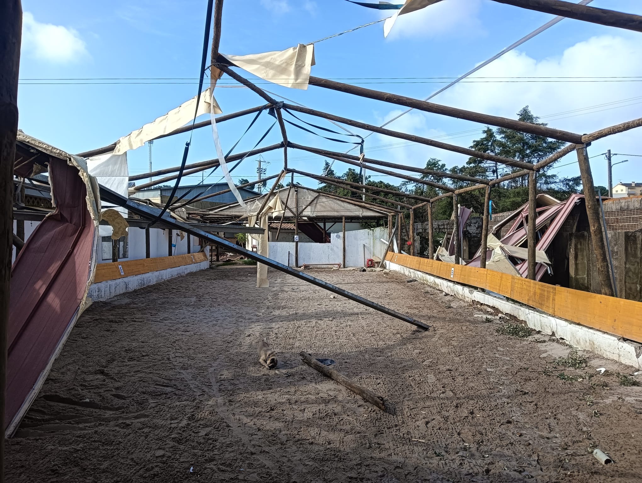 Foto da arrecadação AJUDA LEIRIA - Quinta Vale do Lena, 4 de 7