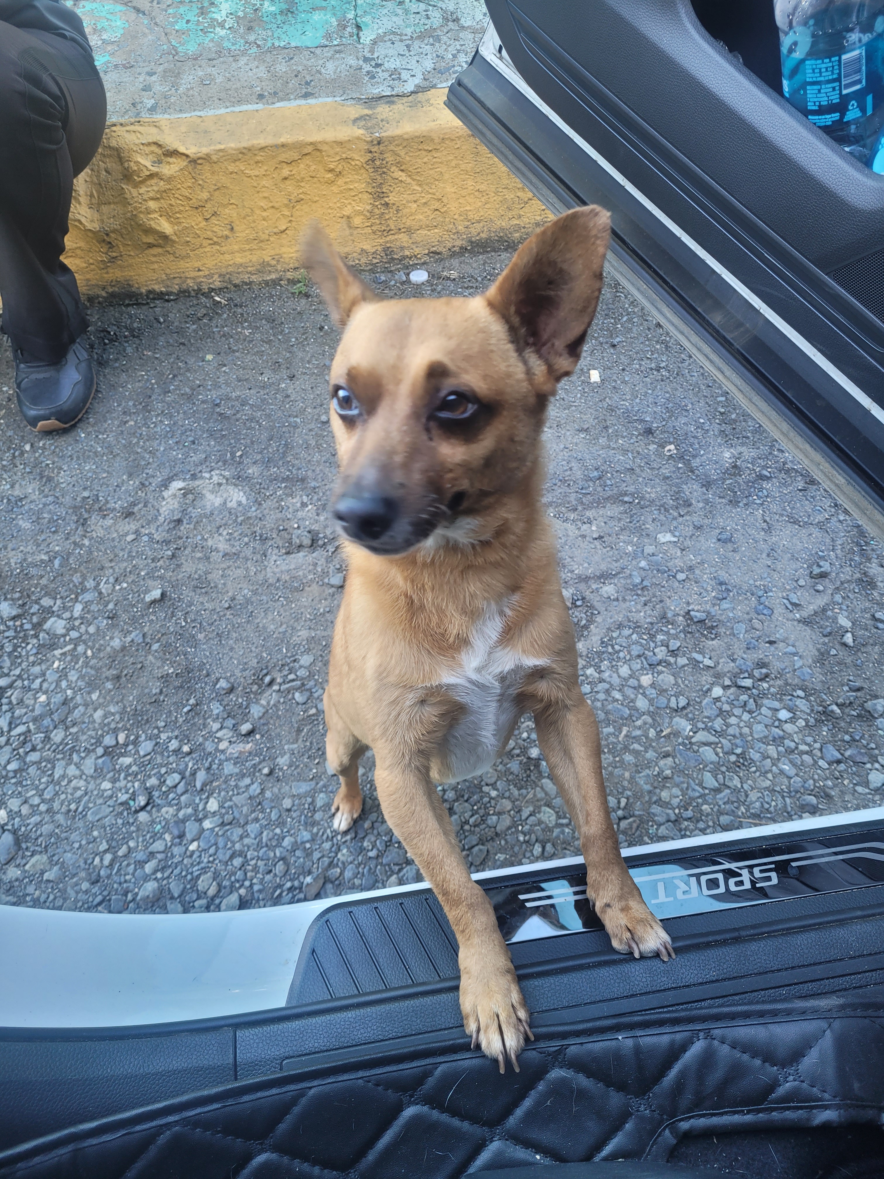 Operacion Urgente a Coyote campaign photo, 5 of 5