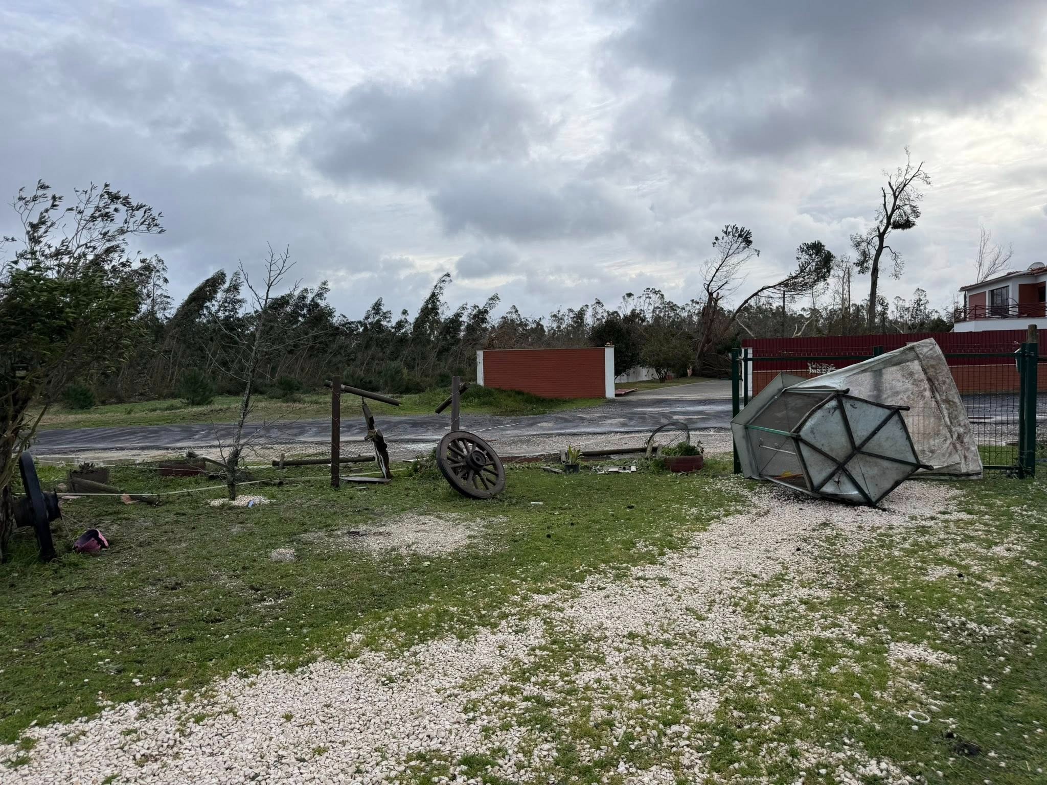 Foto da arrecadação Ajuda urgente para a Associação Equestre Cavalo Dourado, 2 de 8