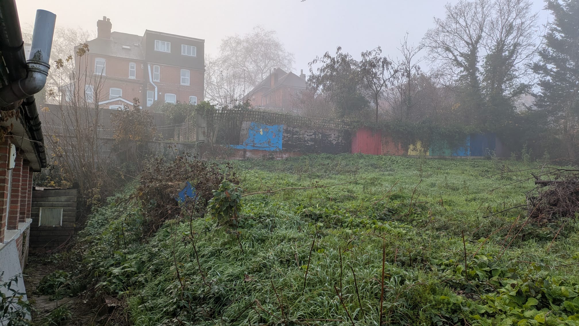 Create a space for nature and people at 59 Gloucester Road campaign photo, 7 of 8
