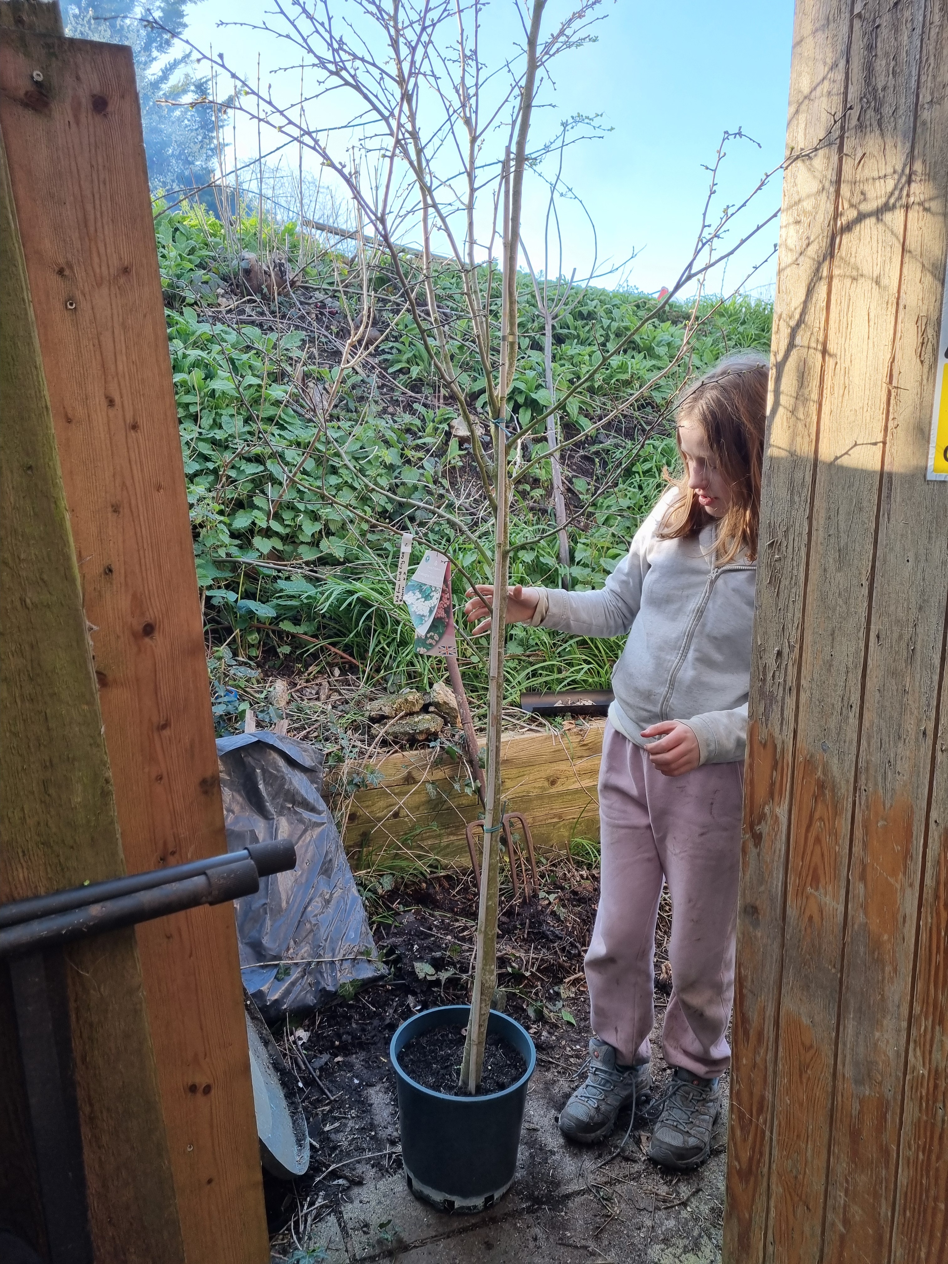 Create a space for nature and people at 59 Gloucester Road campaign photo, 6 of 8