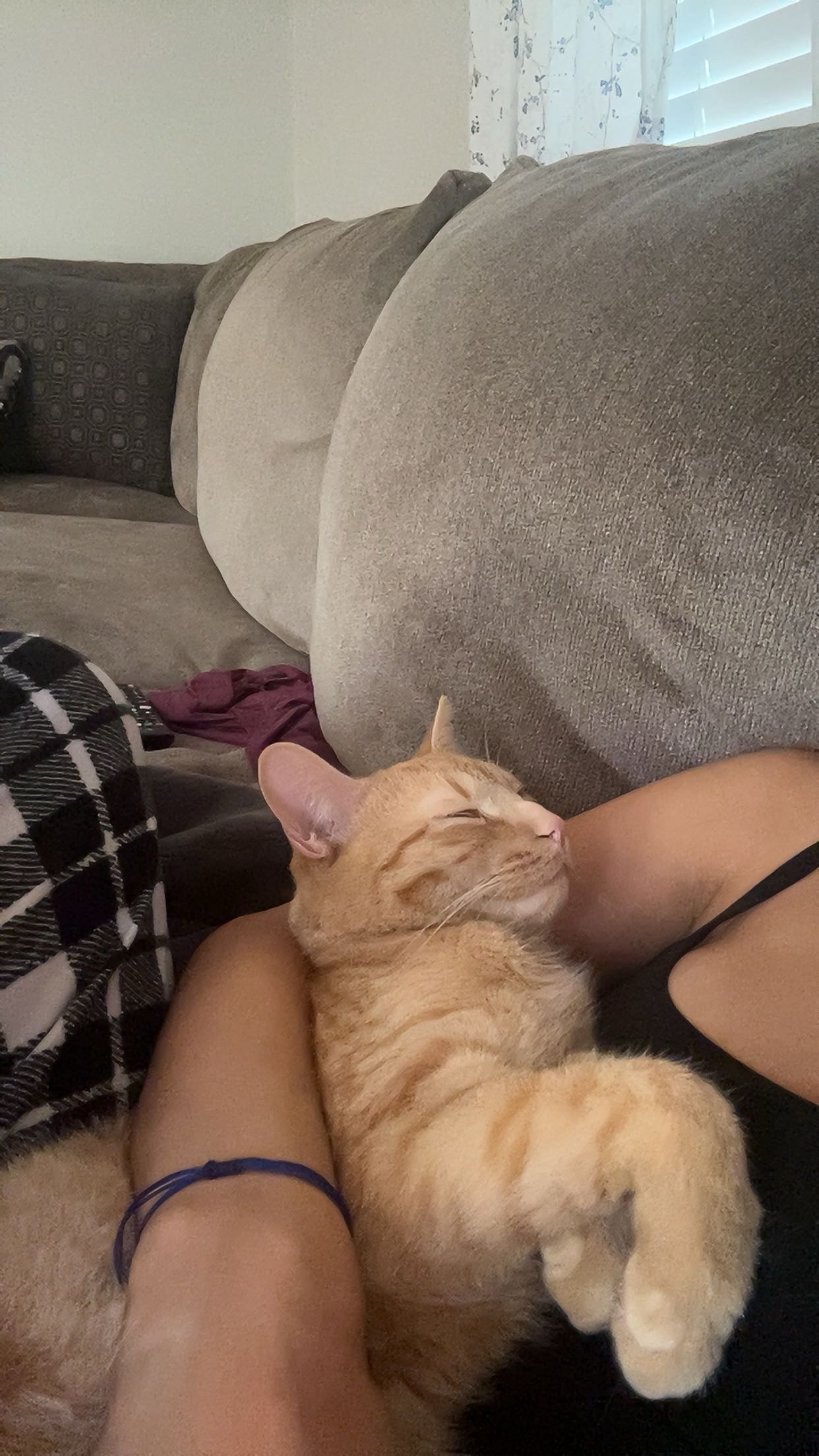 Help Peach Recover from Kidney Failure campaign photo, 5 of 8