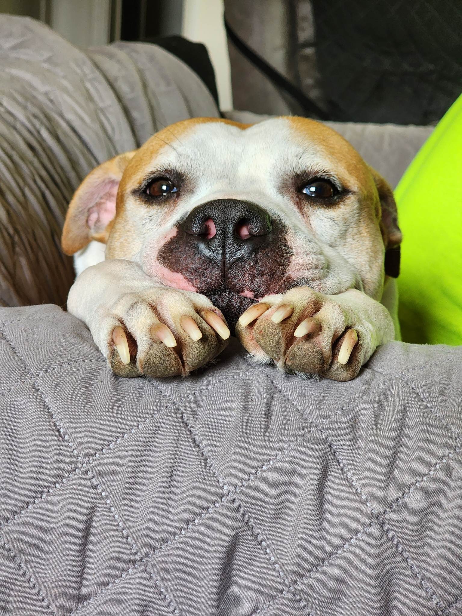 Help Ceaser Get Lifesaving Care campaign photo, 2 of 8