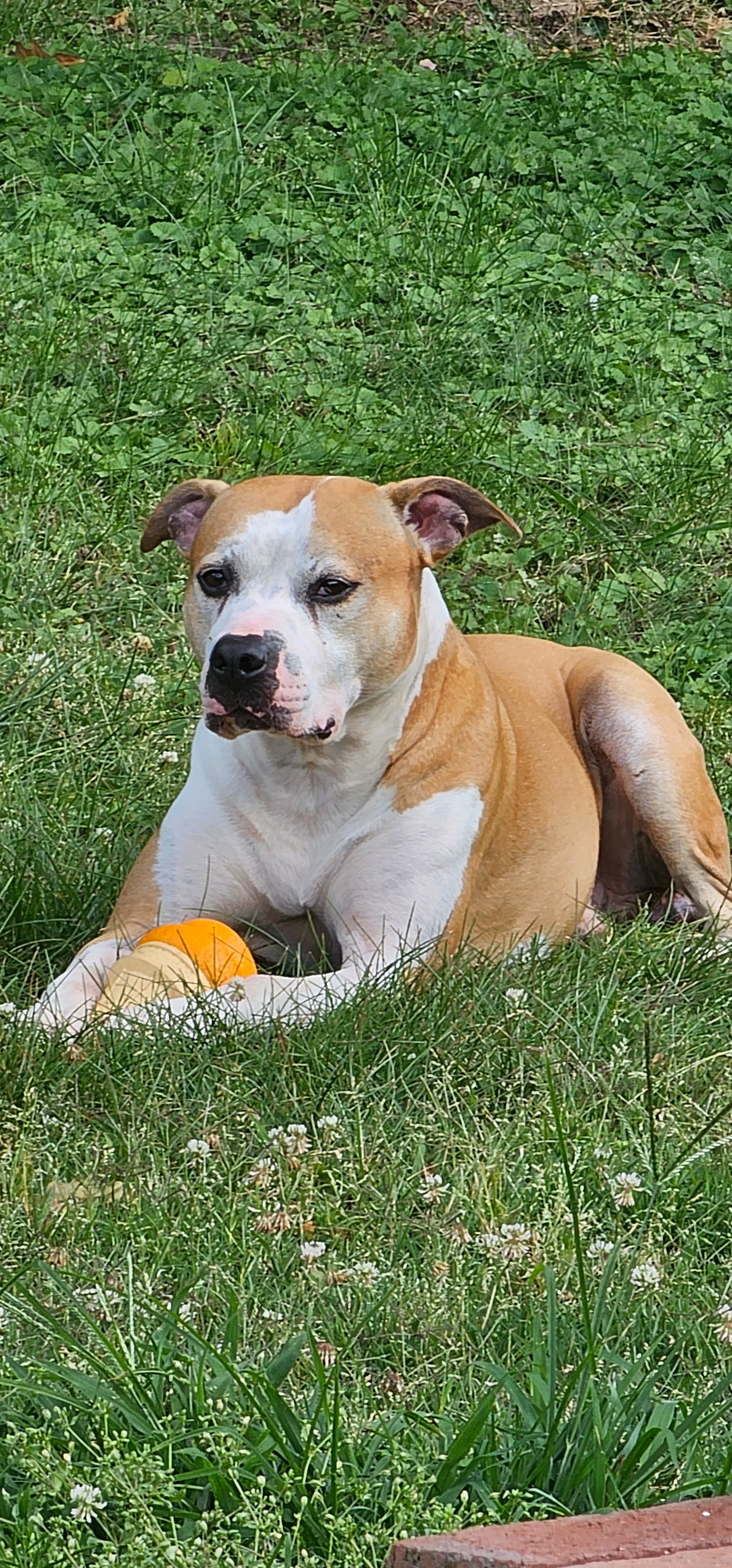 Help Ceaser Get Lifesaving Care campaign photo, 5 of 8