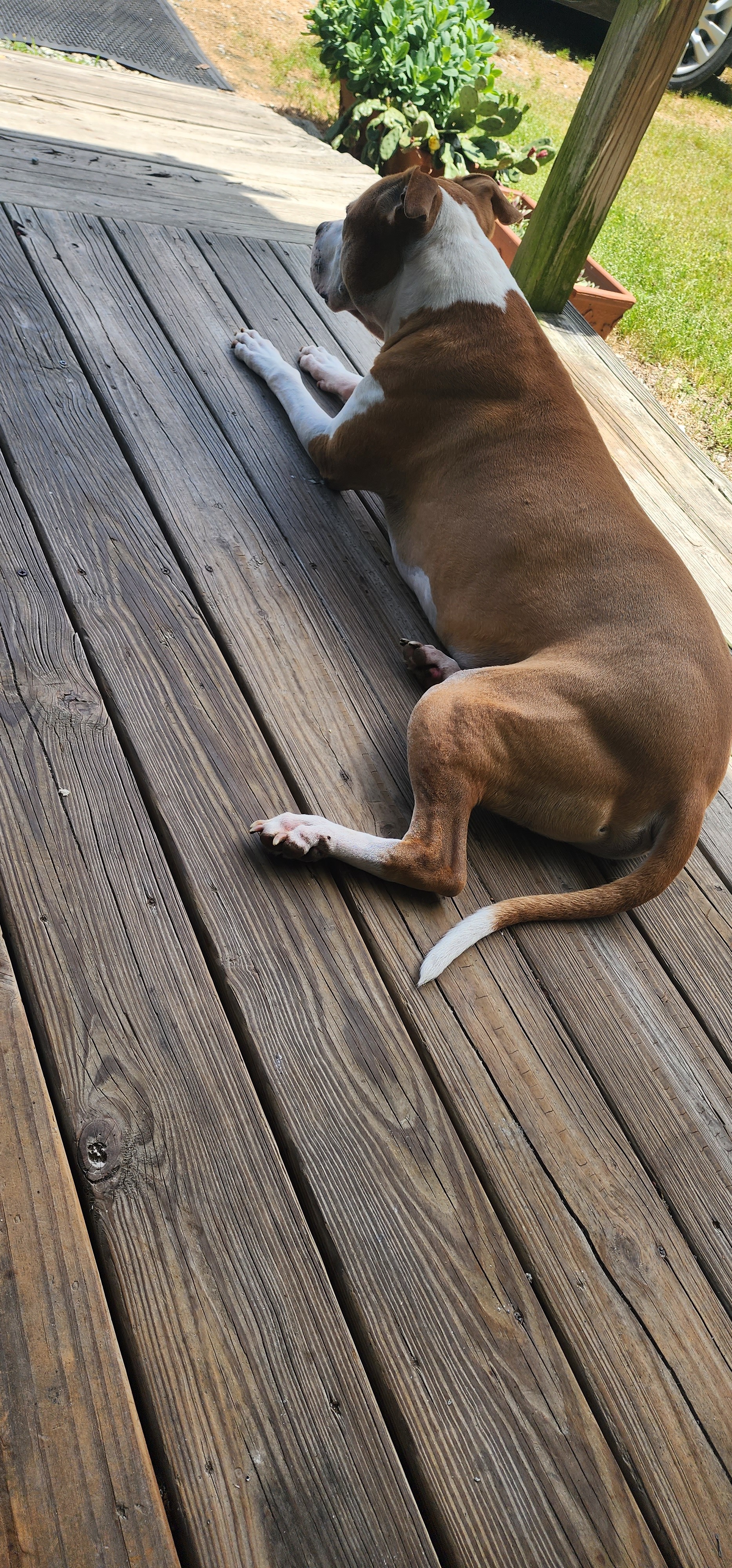 Help Ceaser Get Lifesaving Care campaign photo, 6 of 8