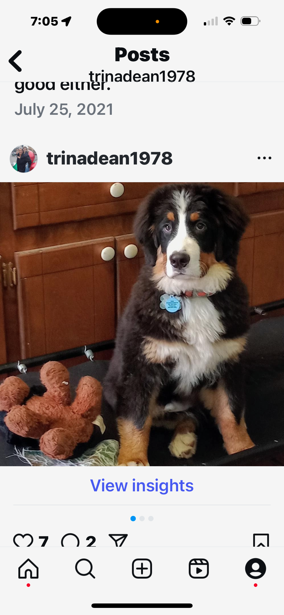 Help Save Zeke, Our Beloved Bernese Mountain Dog campaign photo, 4 of 7