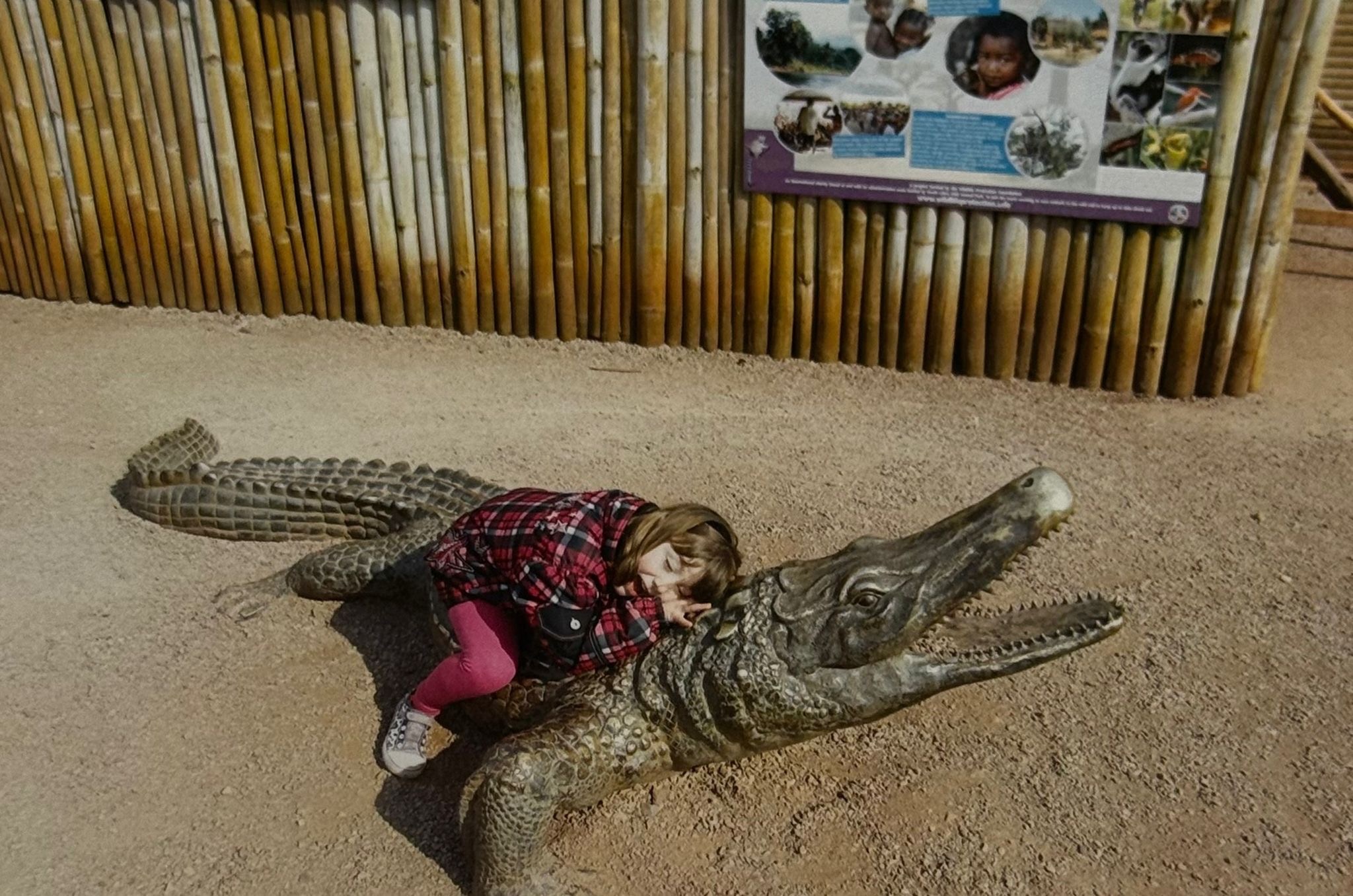 South African Wildlife Conservation Visit campaign photo, 6 of 8