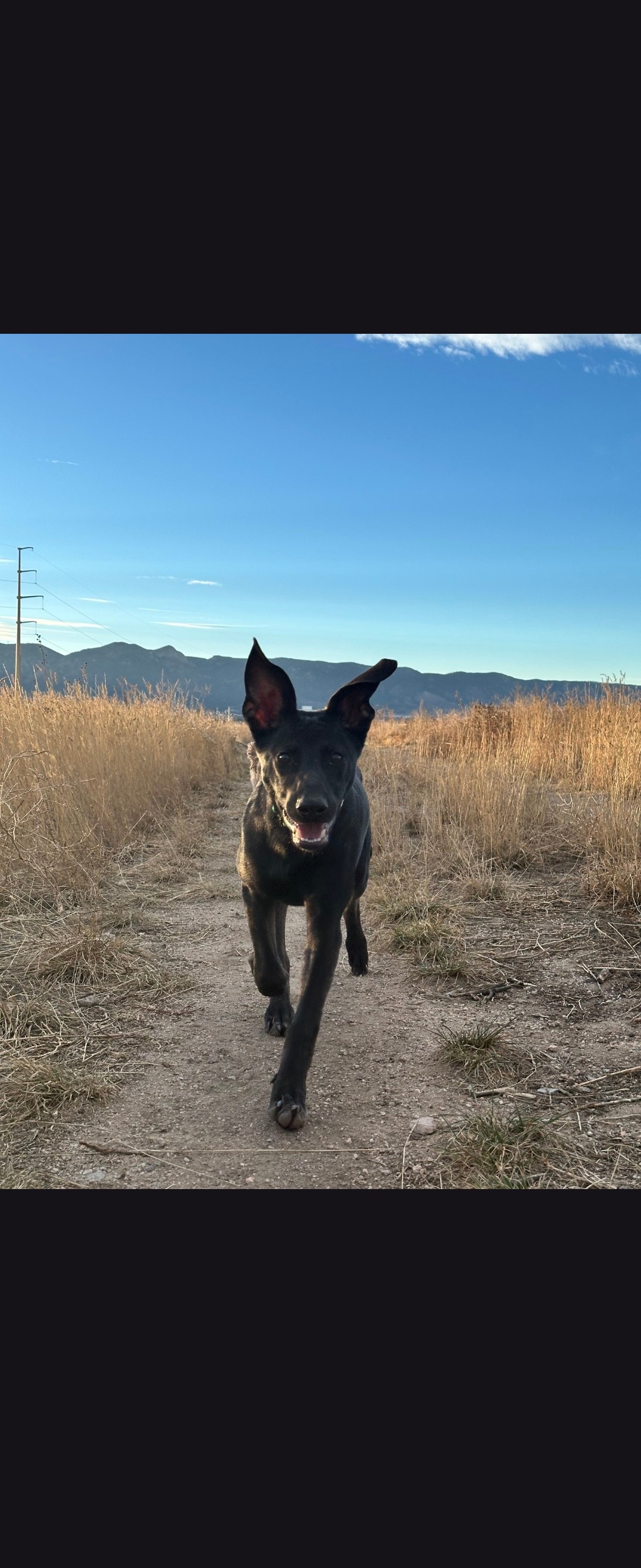 Support Jax's Recovery Journey campaign photo, 4 of 5