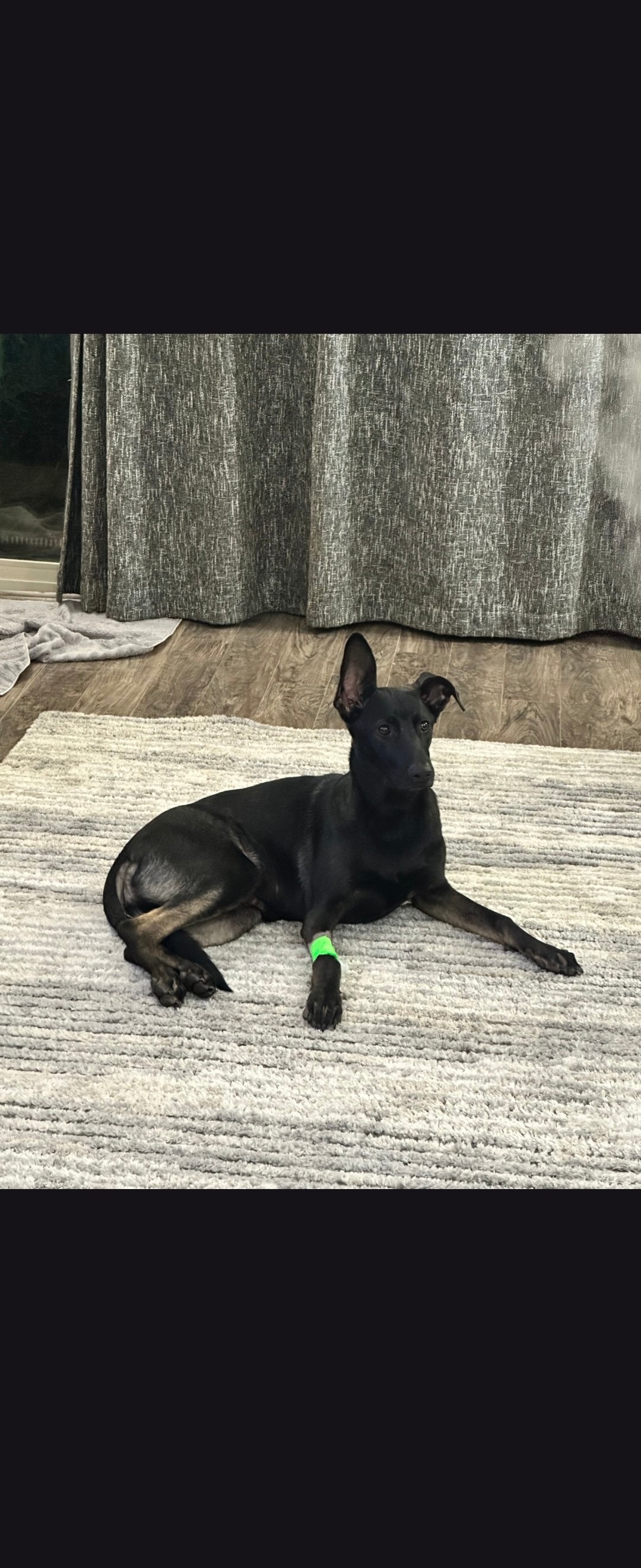 Support Jax's Recovery Journey campaign photo, 2 of 5