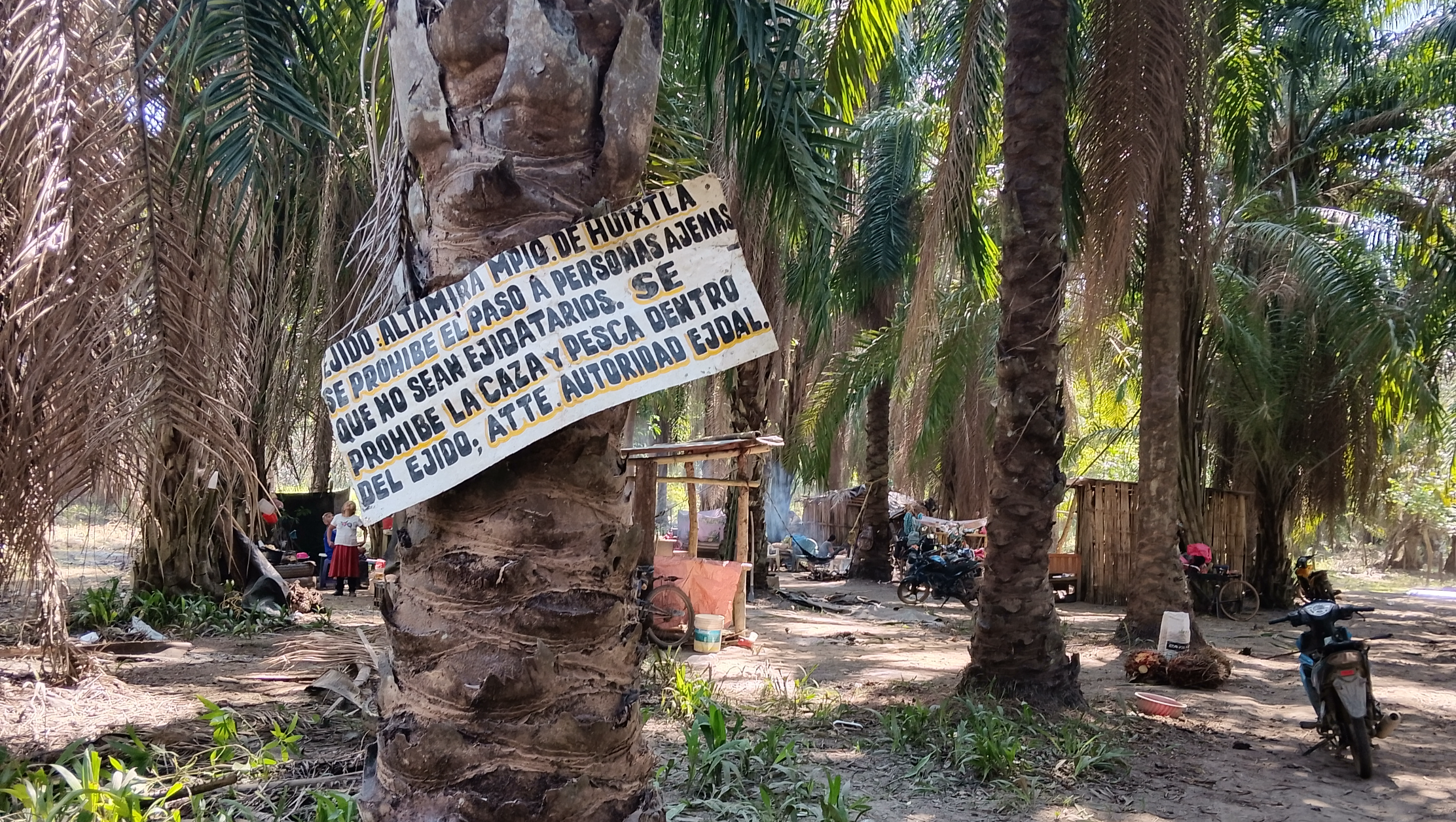 Apoyo a campesinos despojados de sus terrenos photo
