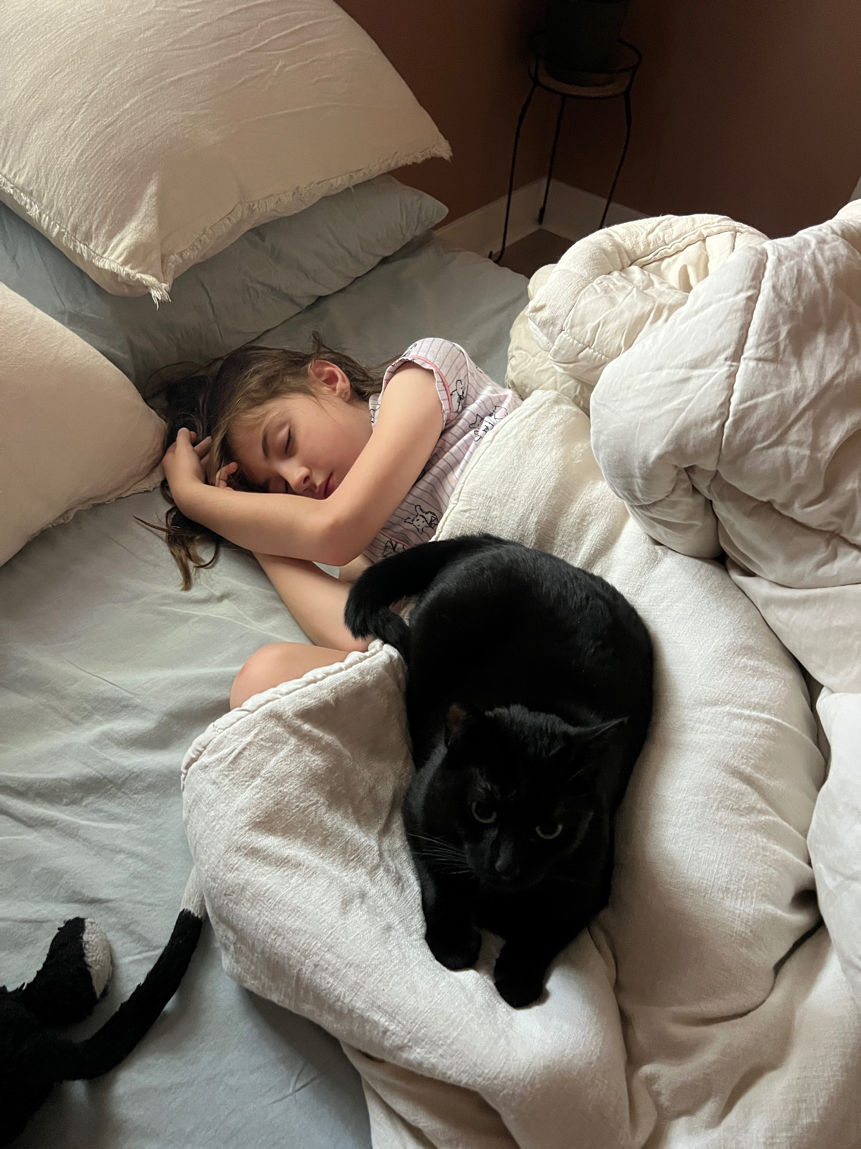 Support Flopsy’s Life-Saving Care campaign photo, 6 of 8