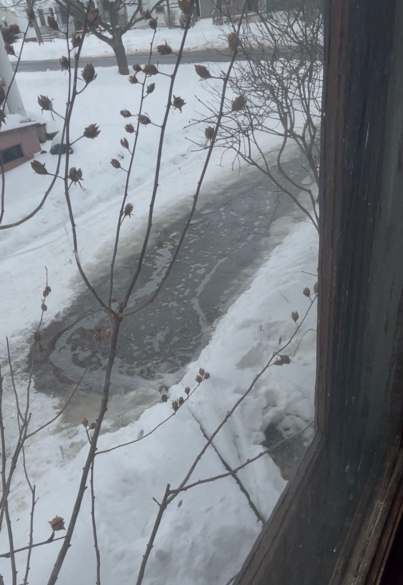 Help Cynthia Recover from Severe Flood Damage campaign photo, 6 of 7