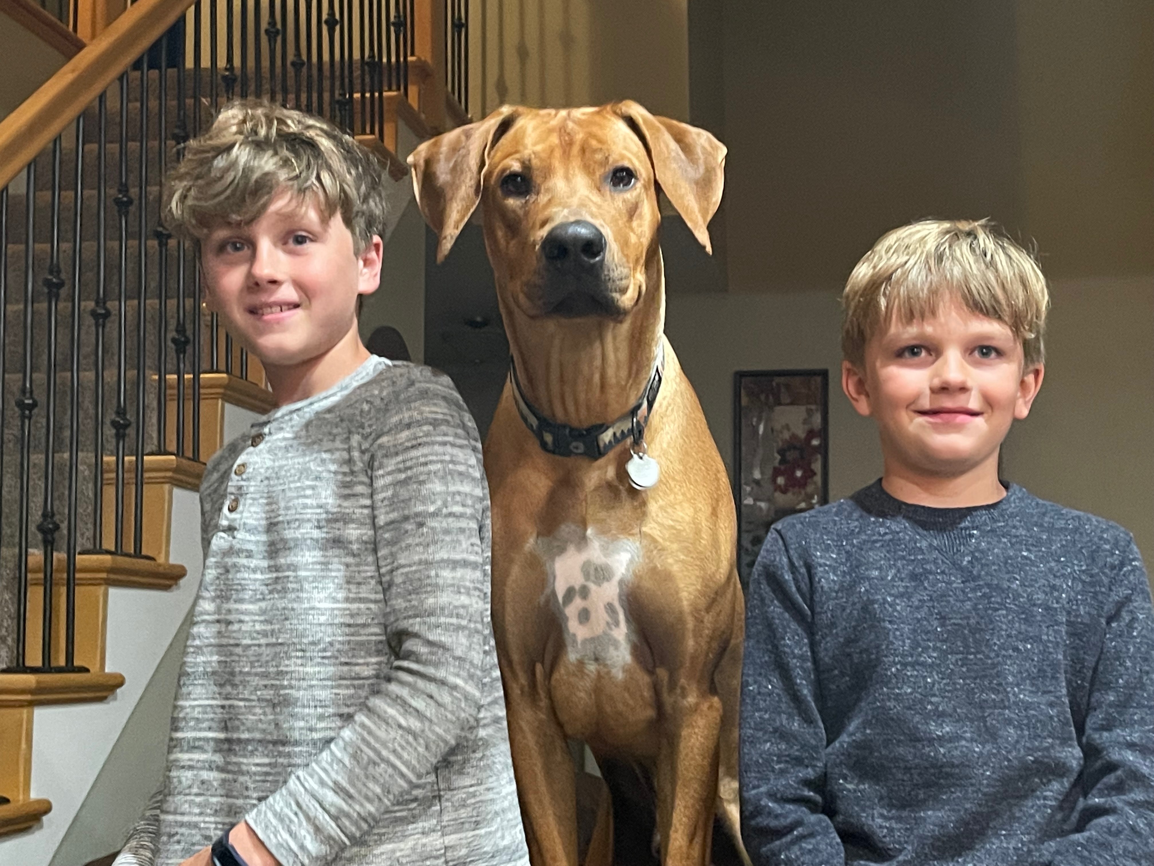 Help Razor Get Life-Saving Surgery campaign photo, 6 of 8