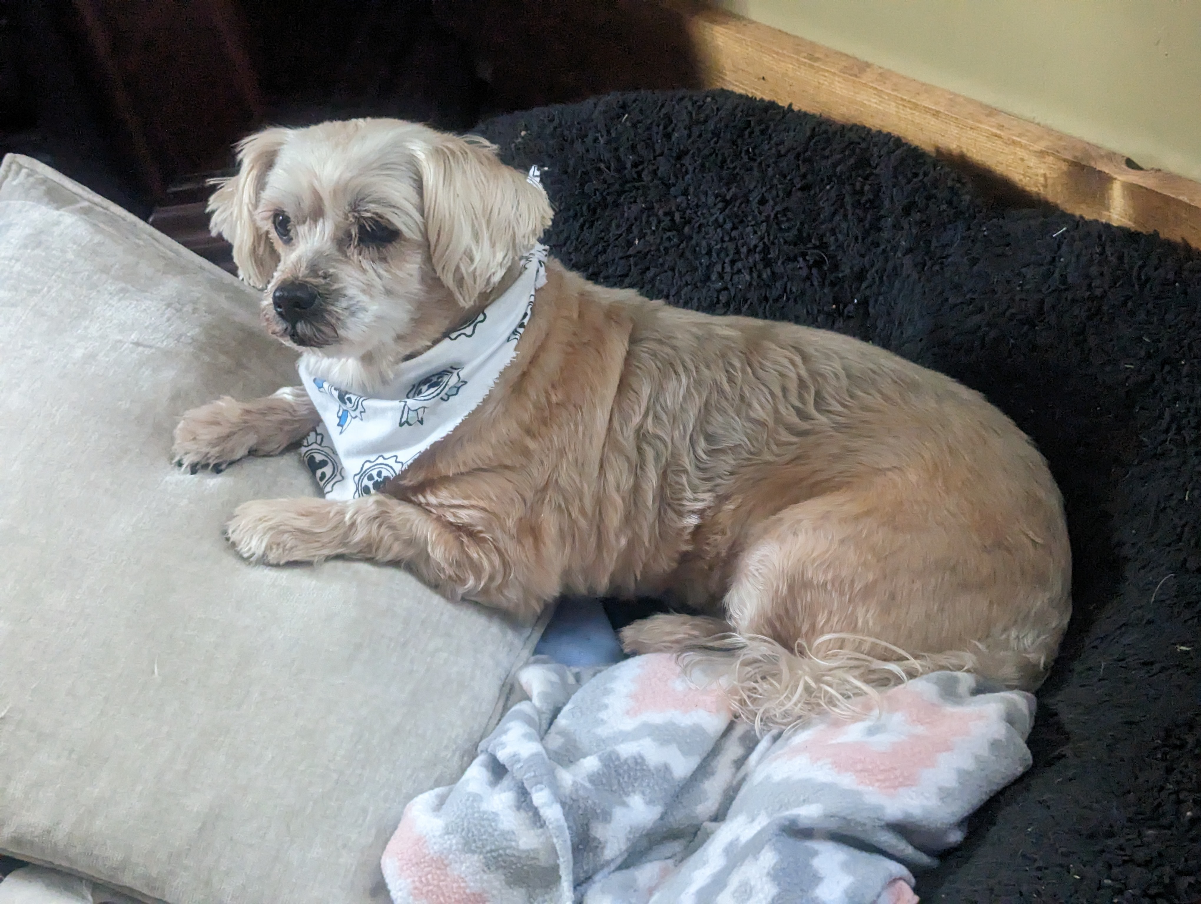 Support Maggie’s Urgent Surgery campaign photo, 5 of 8