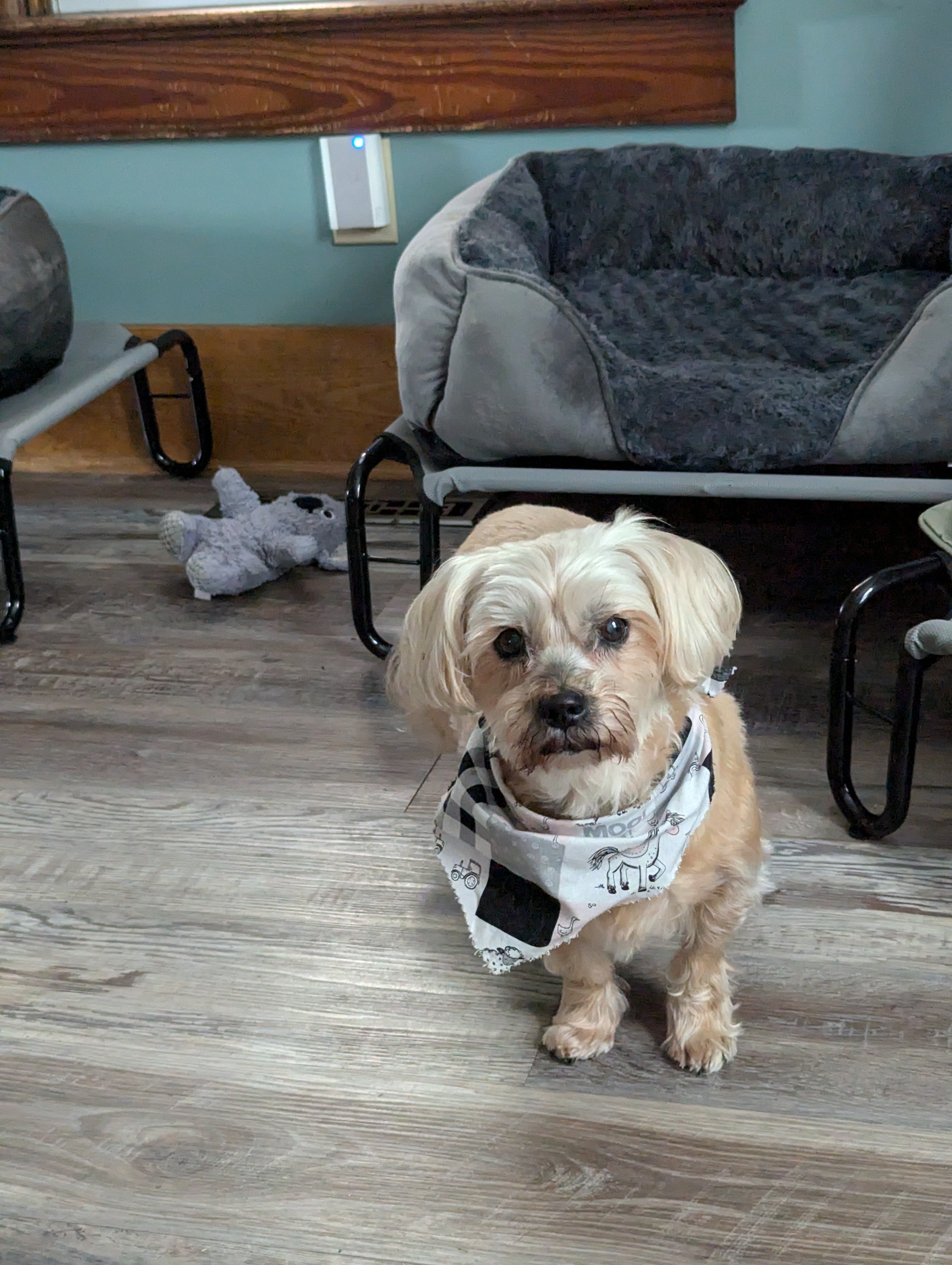 Support Maggie’s Urgent Surgery campaign photo, 6 of 8