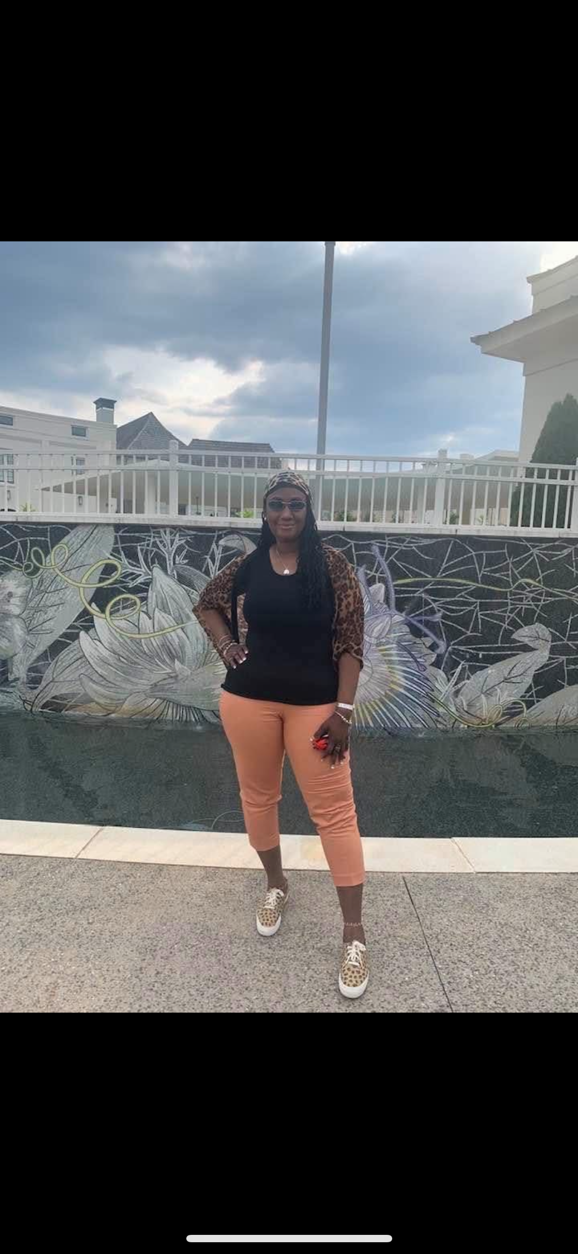 queen zee  zenette steele gofundme donation