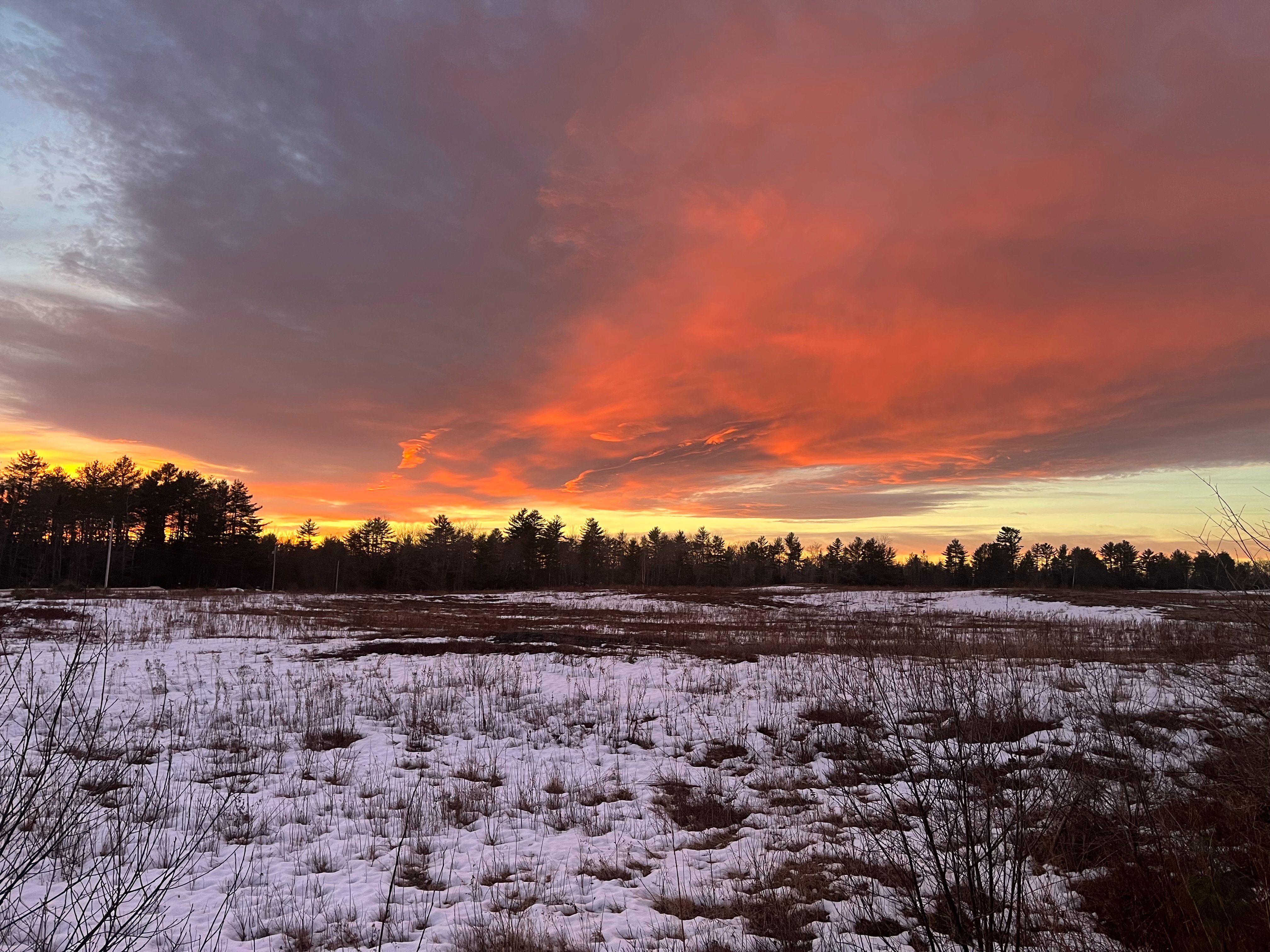 Save Maine's Wild Blueberry Land campaign photo, 6 of 8
