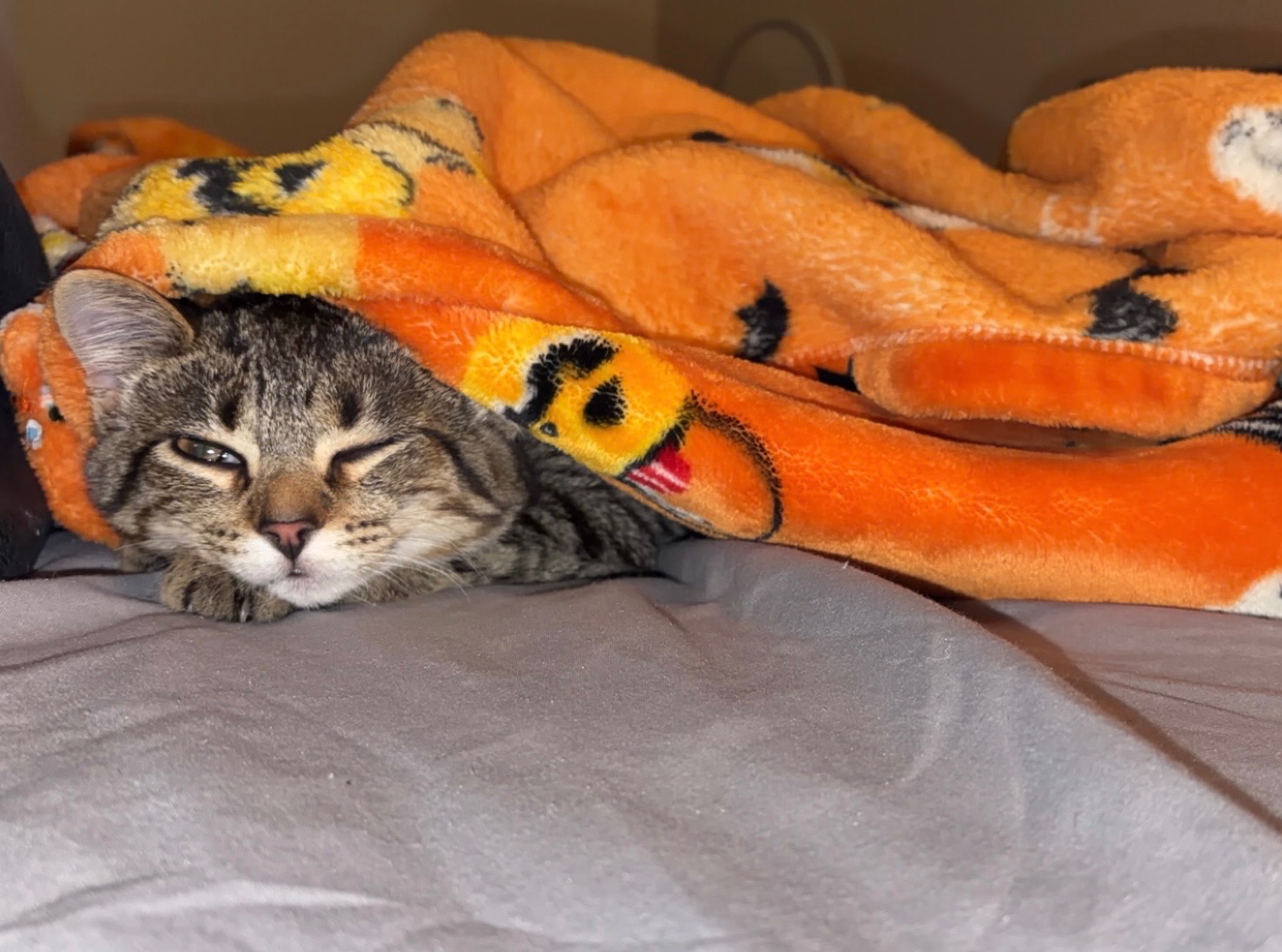 Support Fefe’s Recovery After Electrical Accident campaign photo, 6 of 7