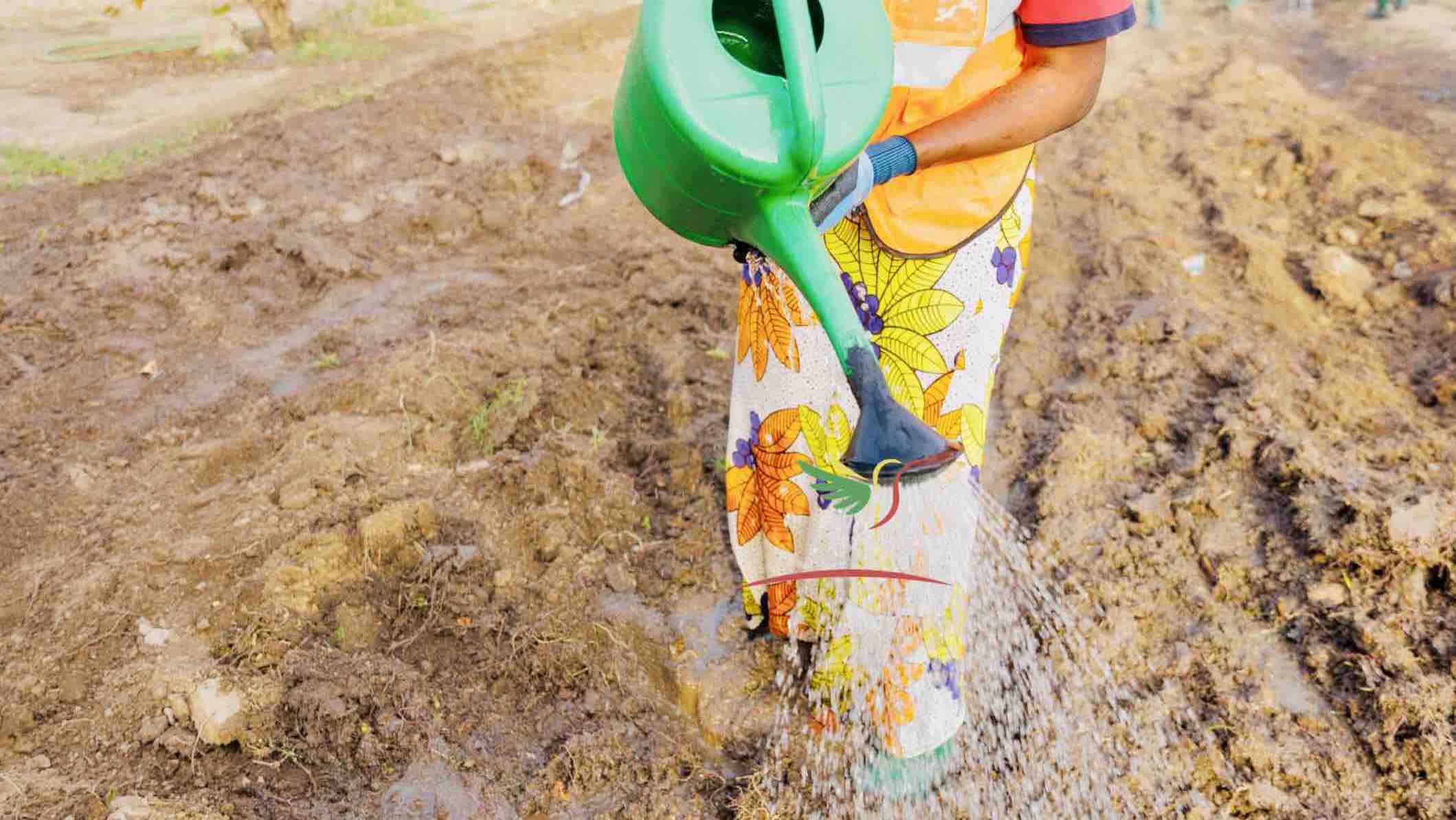 Soutenez le potager solidaire pour filles mineures isolées photo