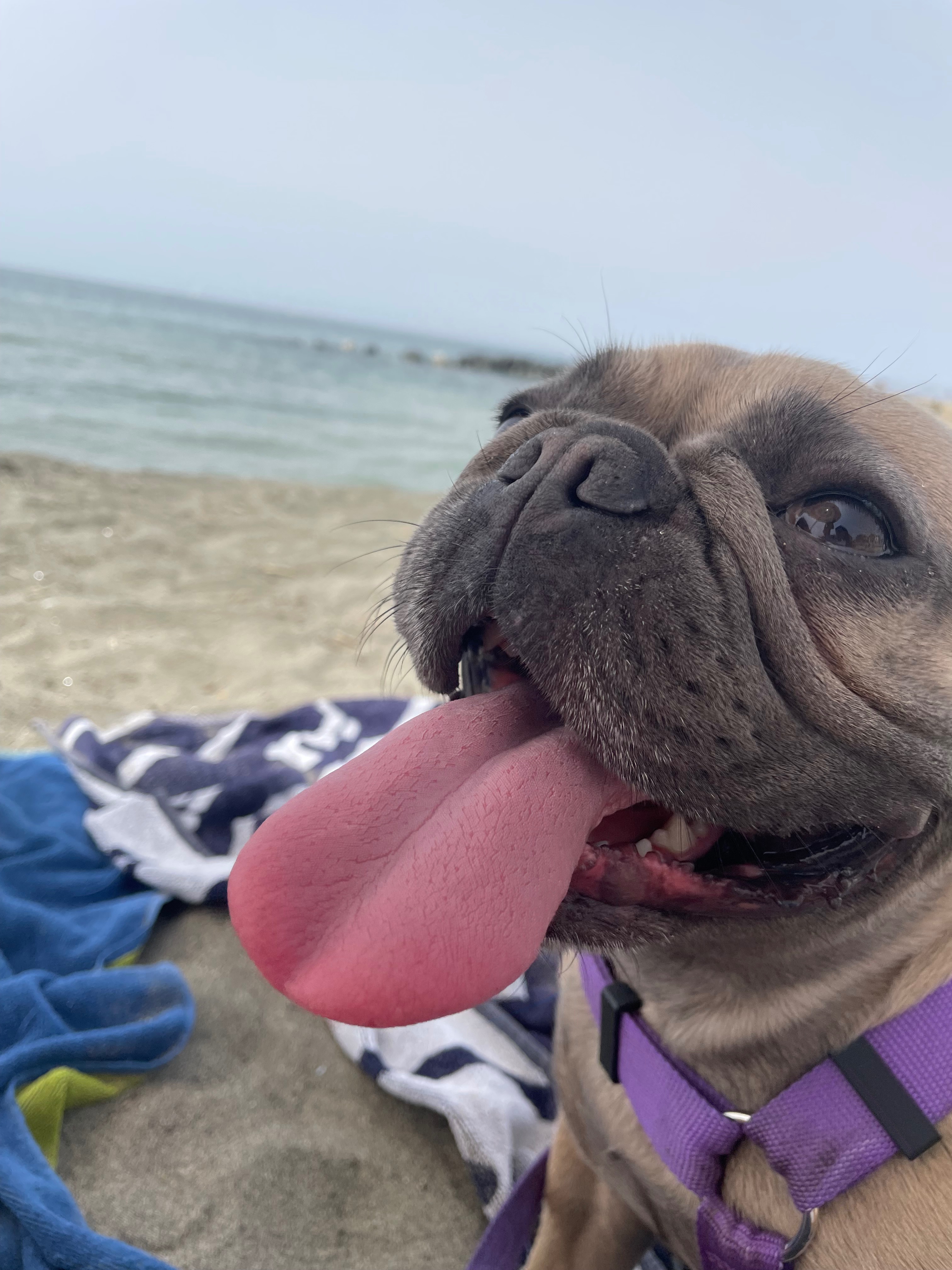 Chanel’s Story – Help for Cervical Disc Hernia Surgery campaign photo, 6 of 7